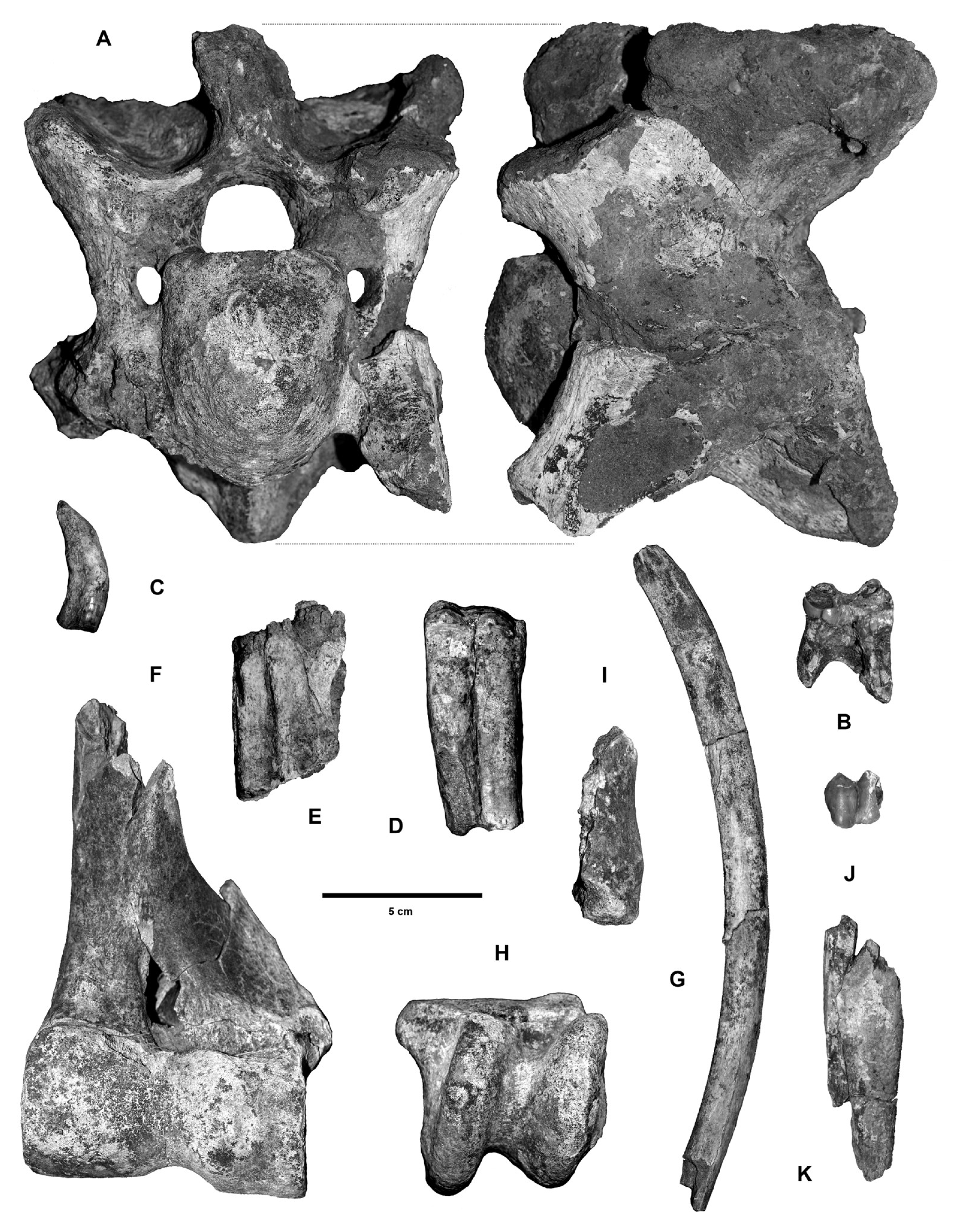 Quaternary 08 00052 g017 Quaternary 08 00052 g017