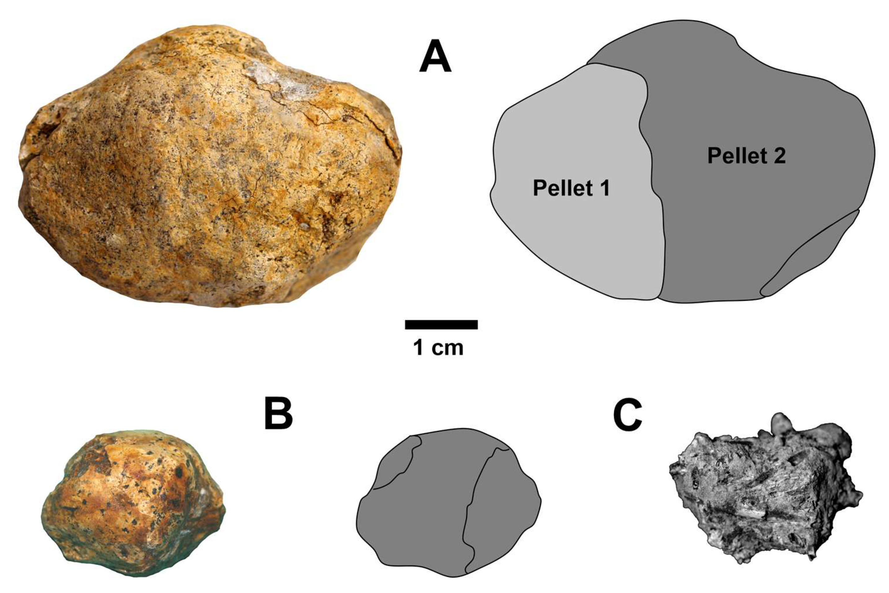 Quaternary 08 00052 g018 Quaternary 08 00052 g018