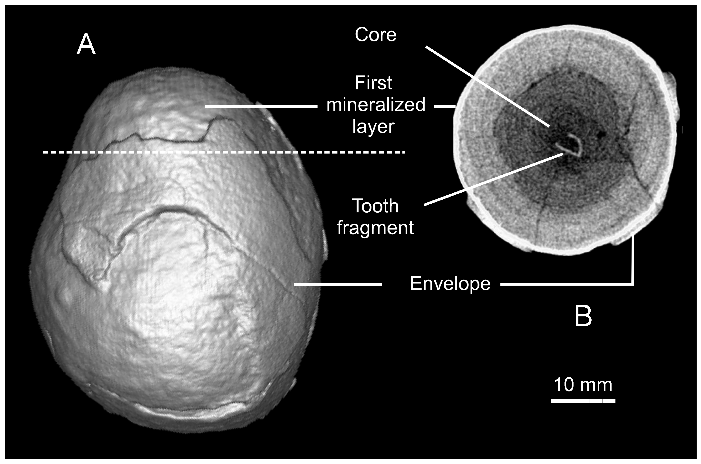 Quaternary 08 00056 g001 Quaternary 08 00056 g001