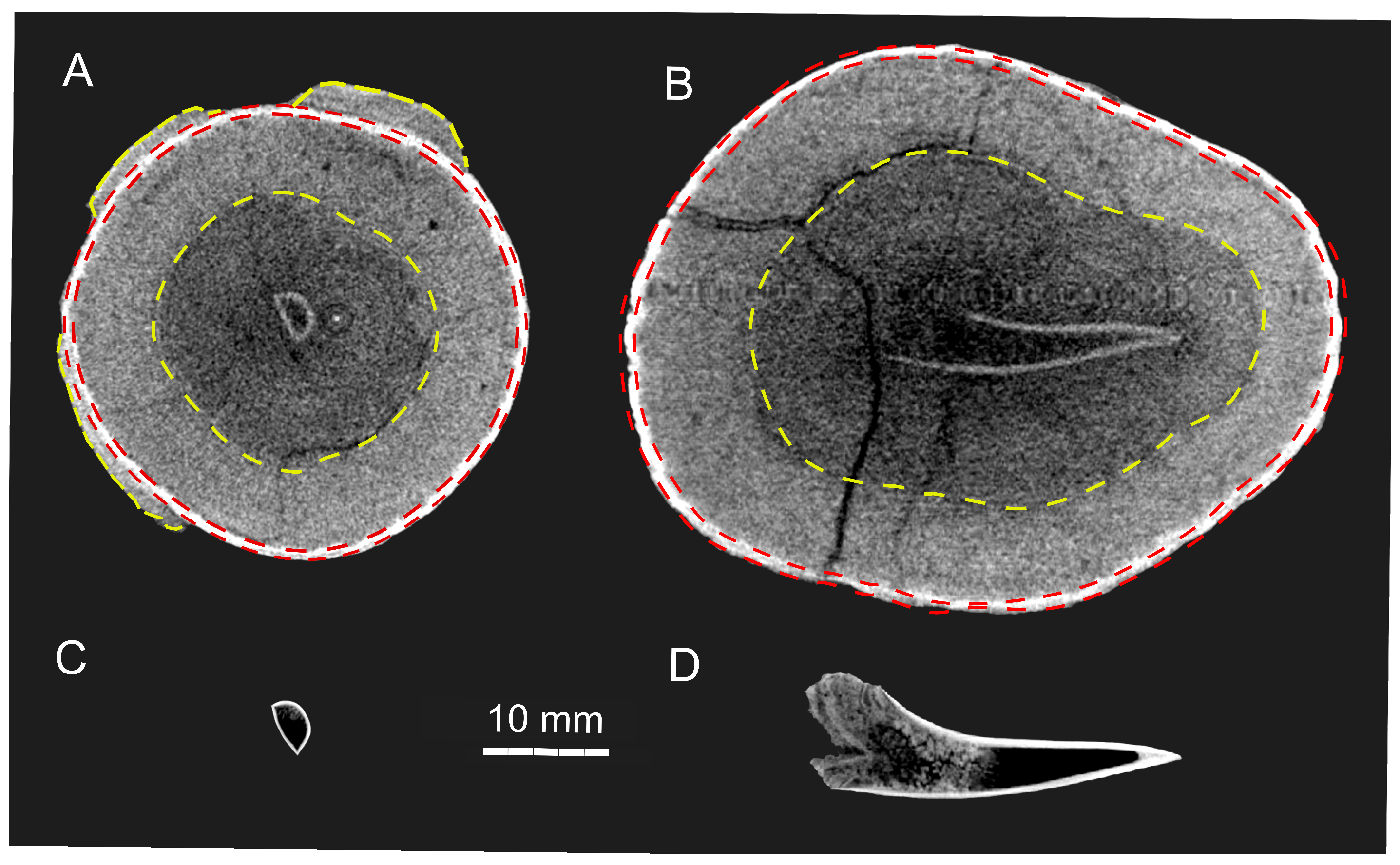 Quaternary 08 00056 g002 Quaternary 08 00056 g002