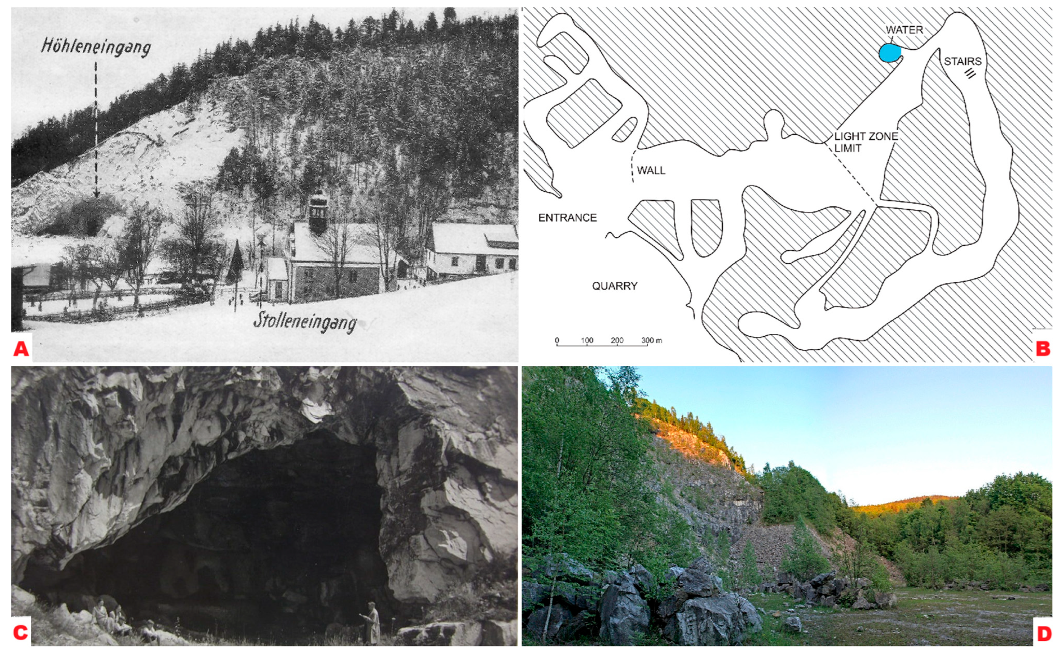 Quaternary 08 00065 g002