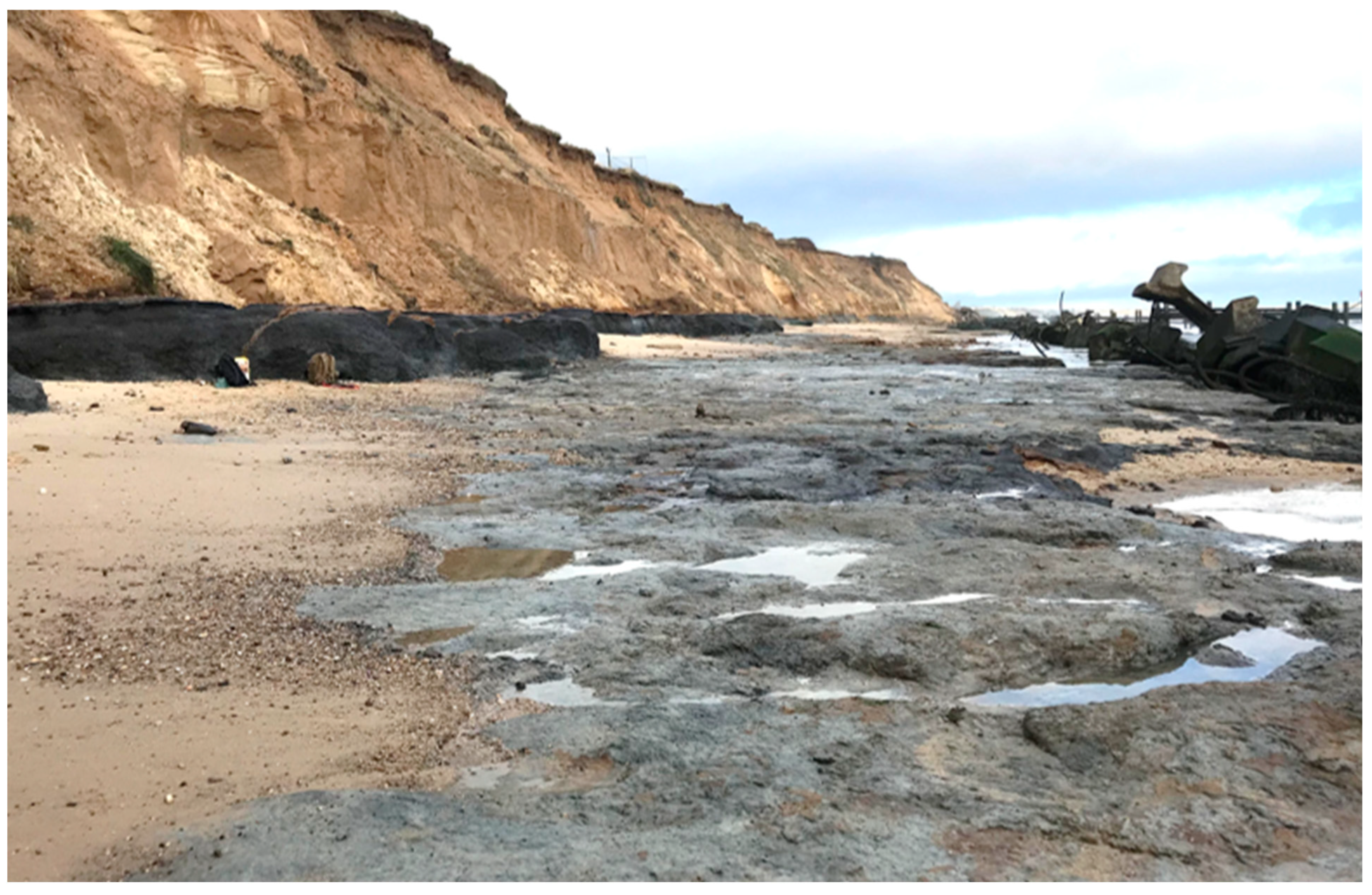 Quaternary 08 00065 g003