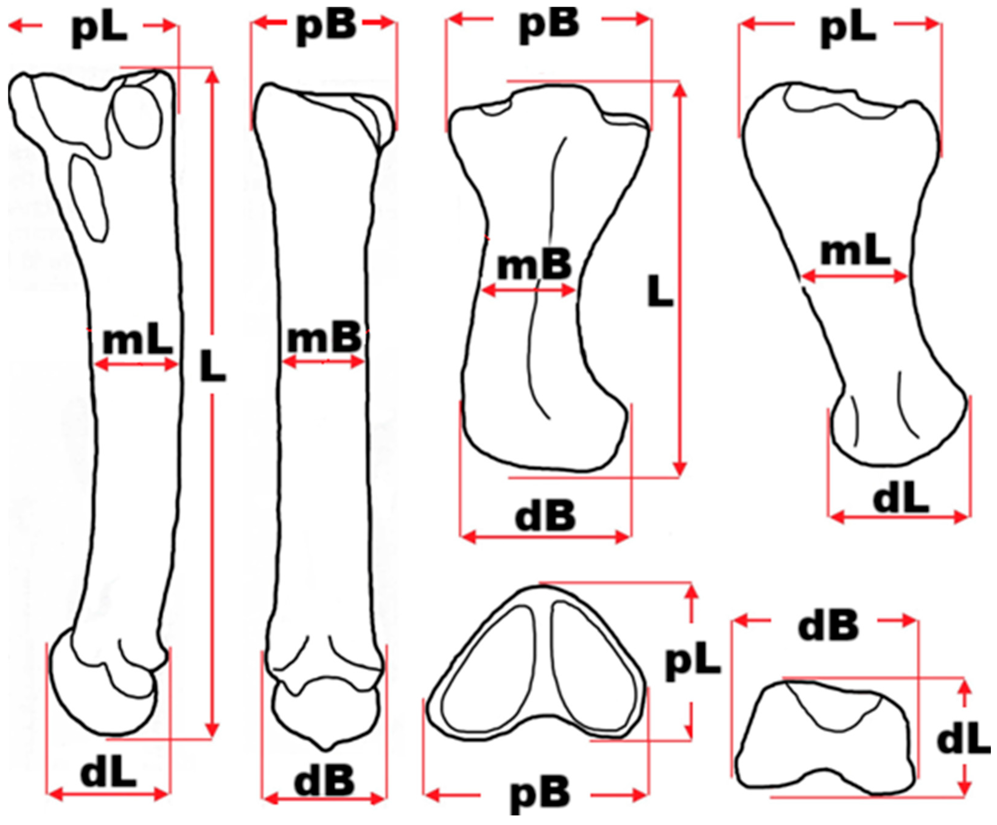 Quaternary 08 00065 g004