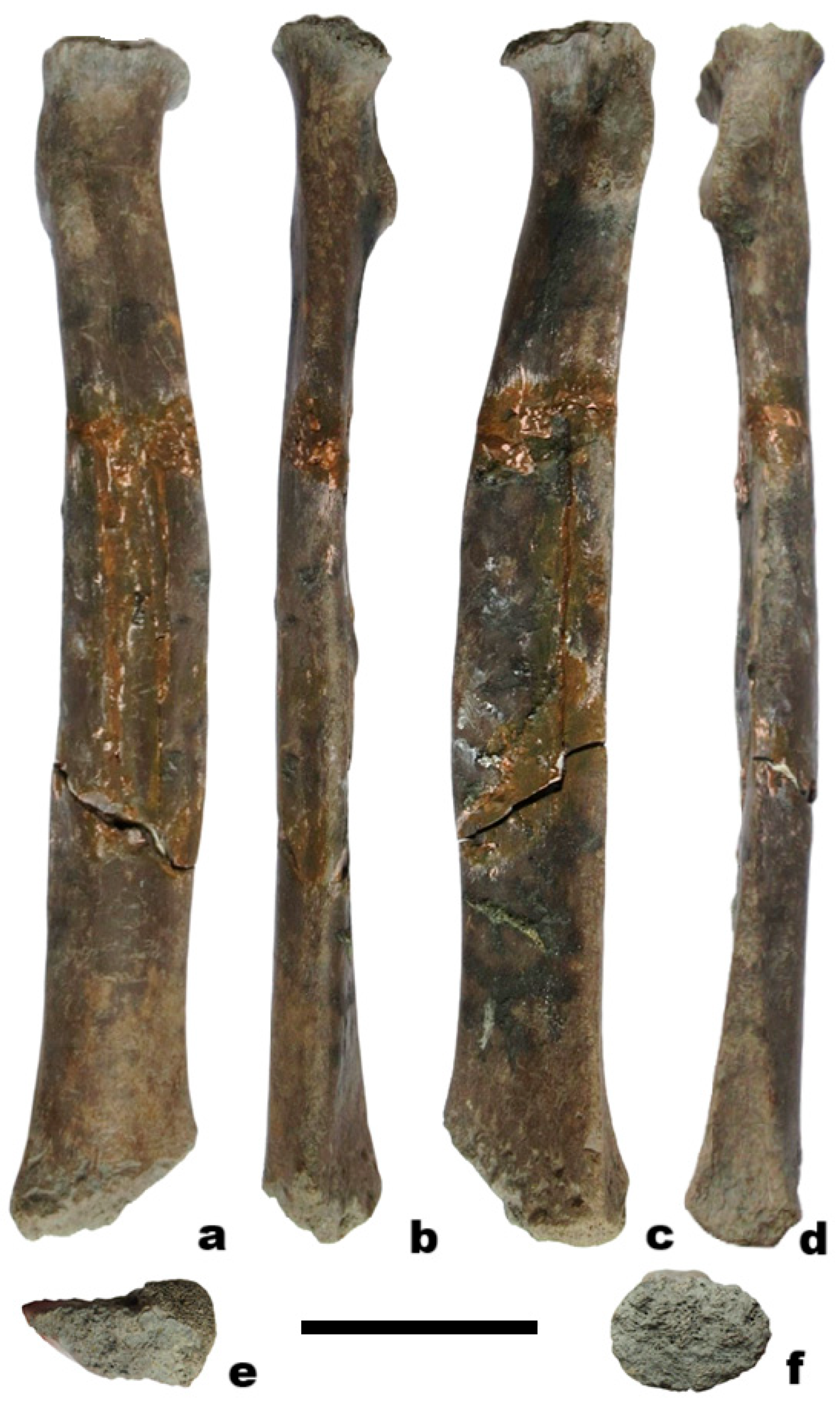 Quaternary 08 00065 g005