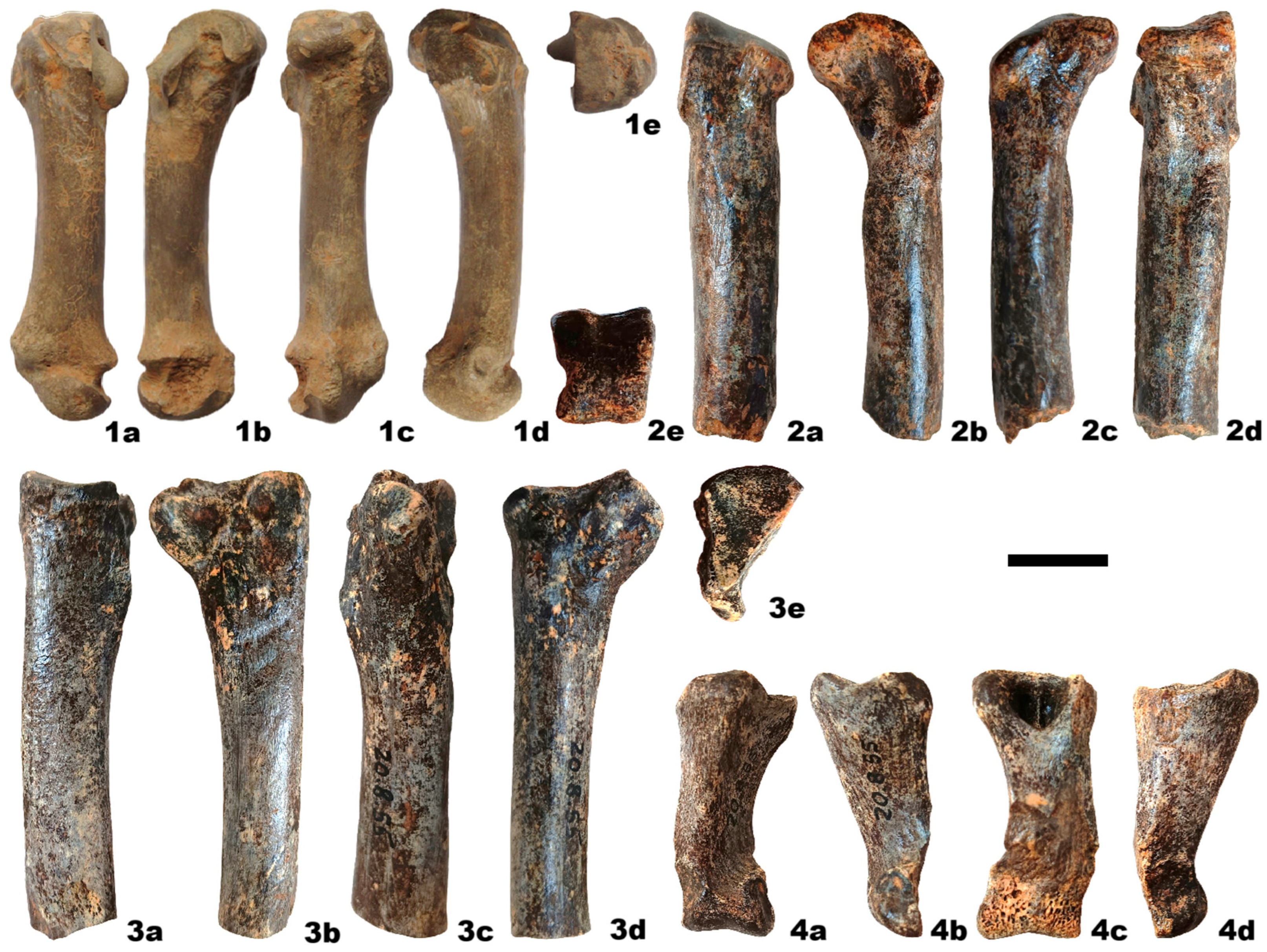 Quaternary 08 00065 g006