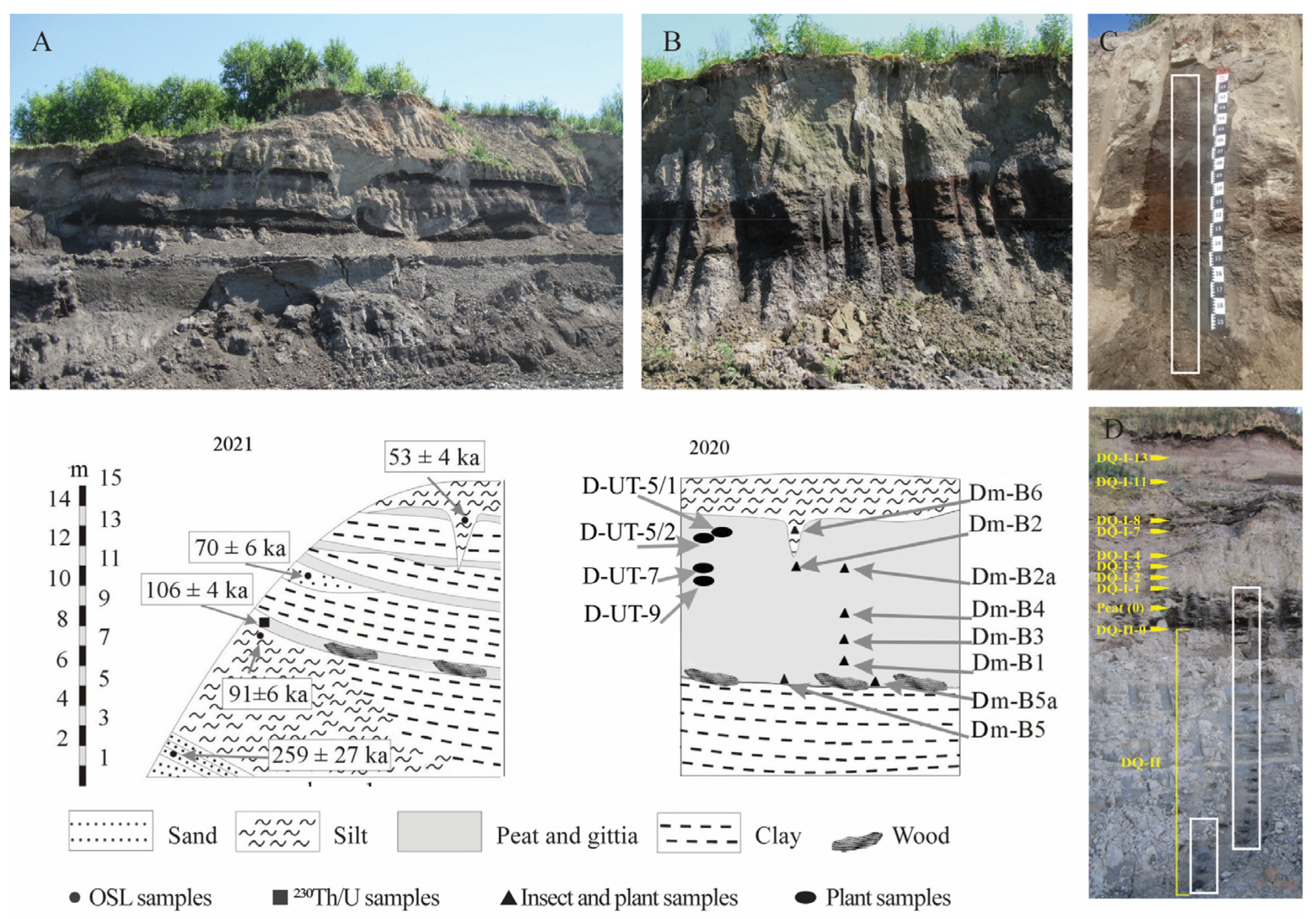 Quaternary 08 00066 g002