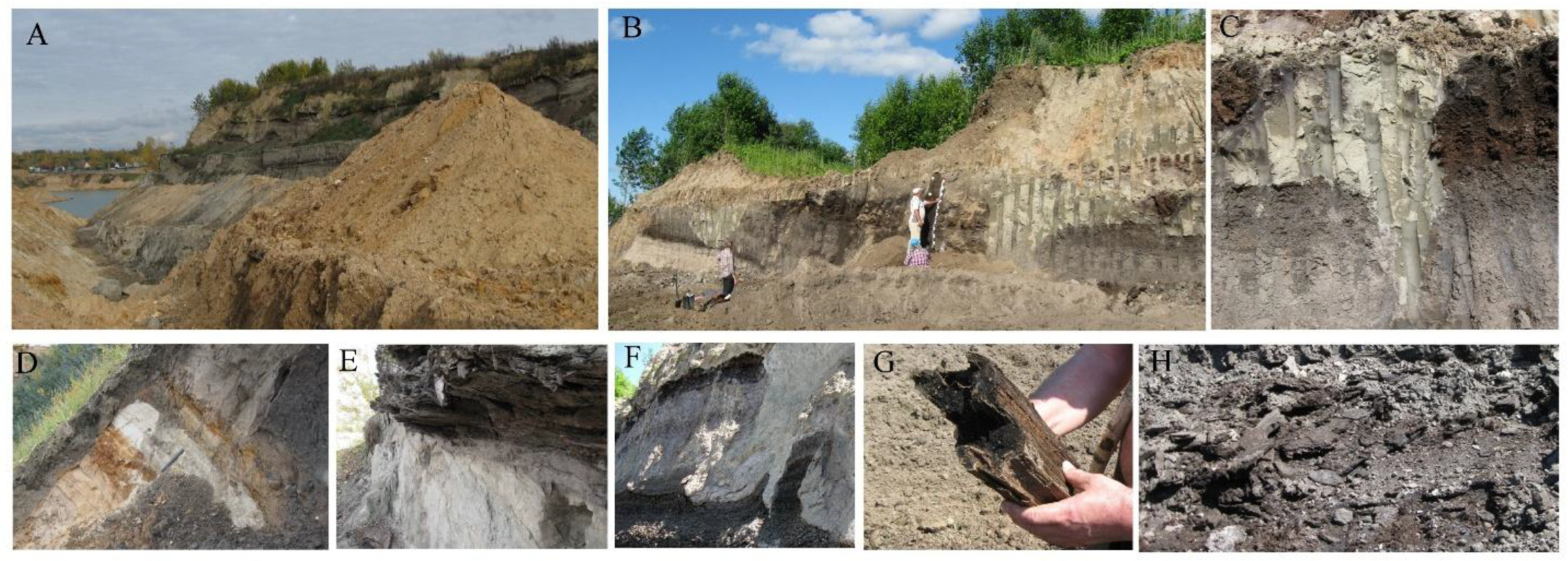 Quaternary 08 00066 g003