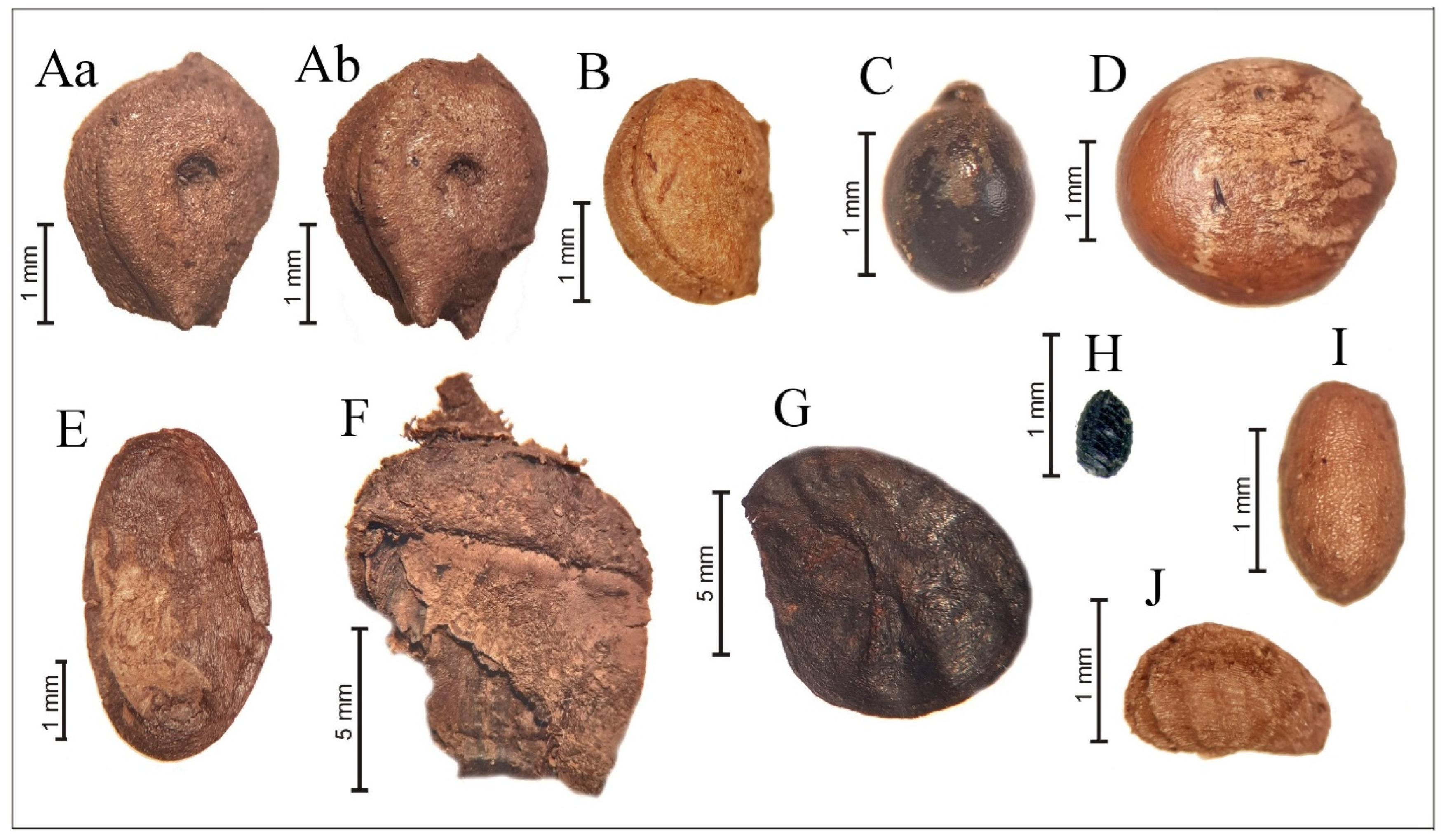 Quaternary 08 00066 g006