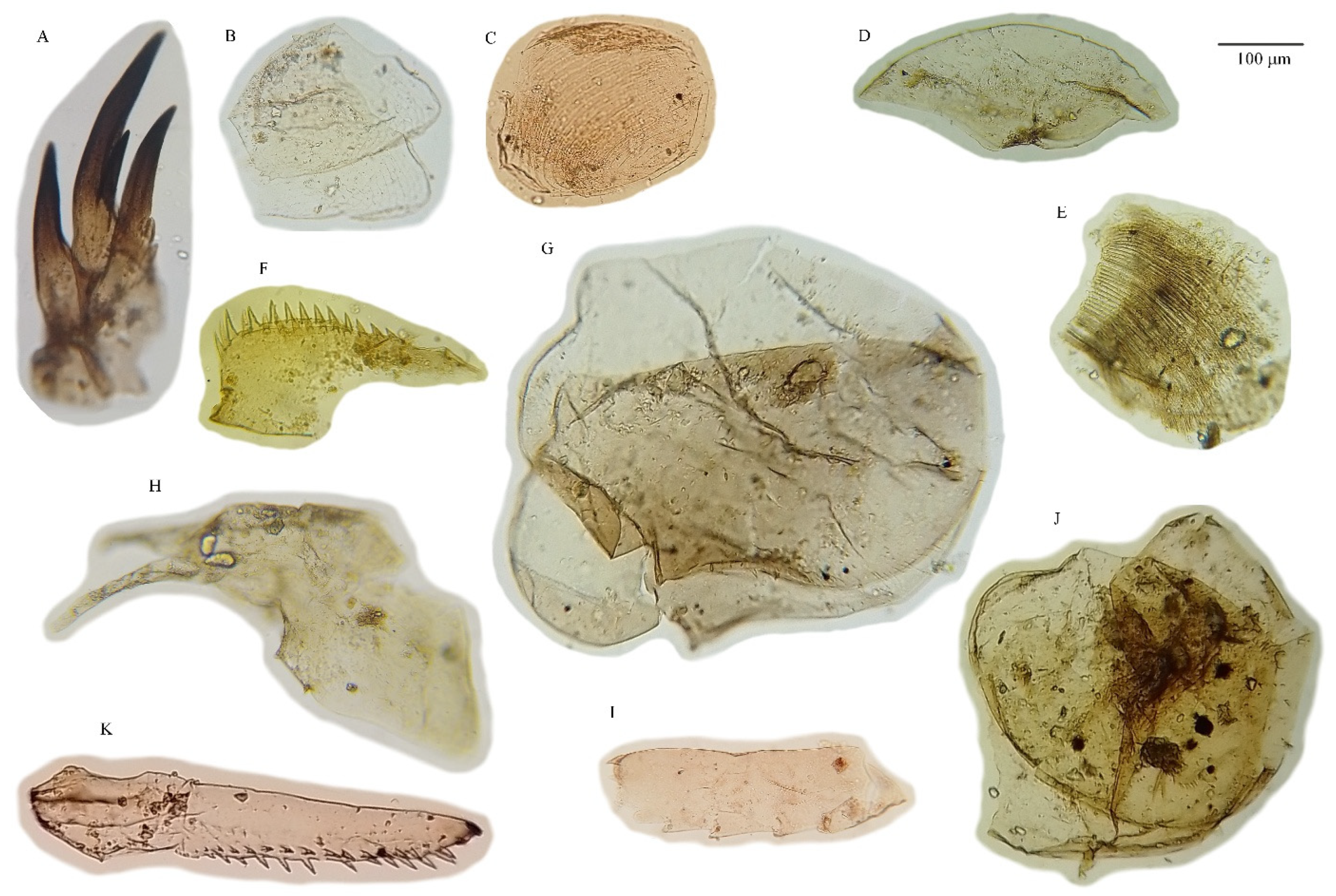 Quaternary 08 00066 g010