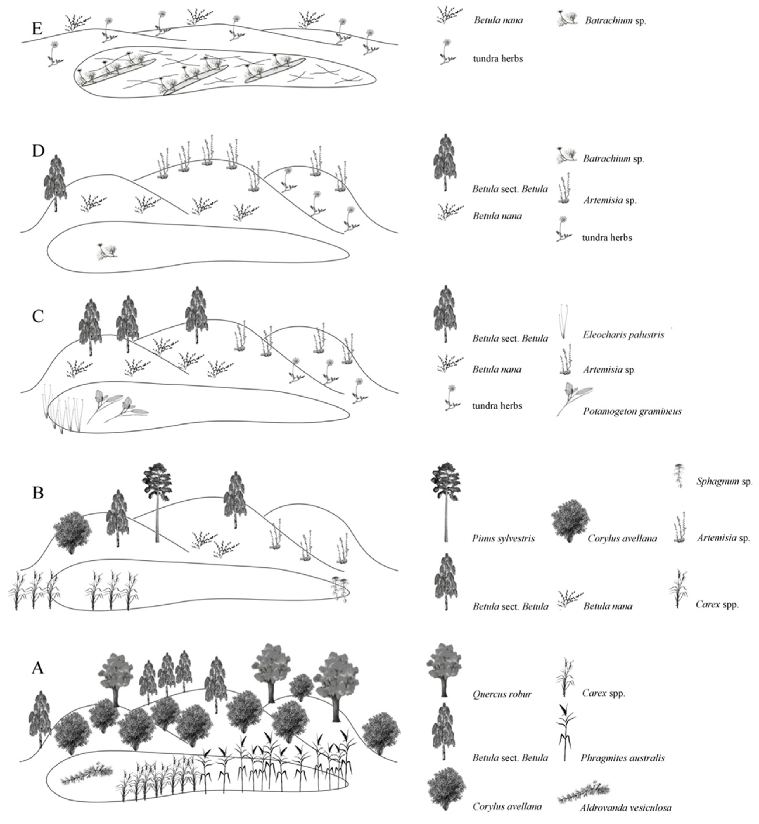 Quaternary 08 00066 g011