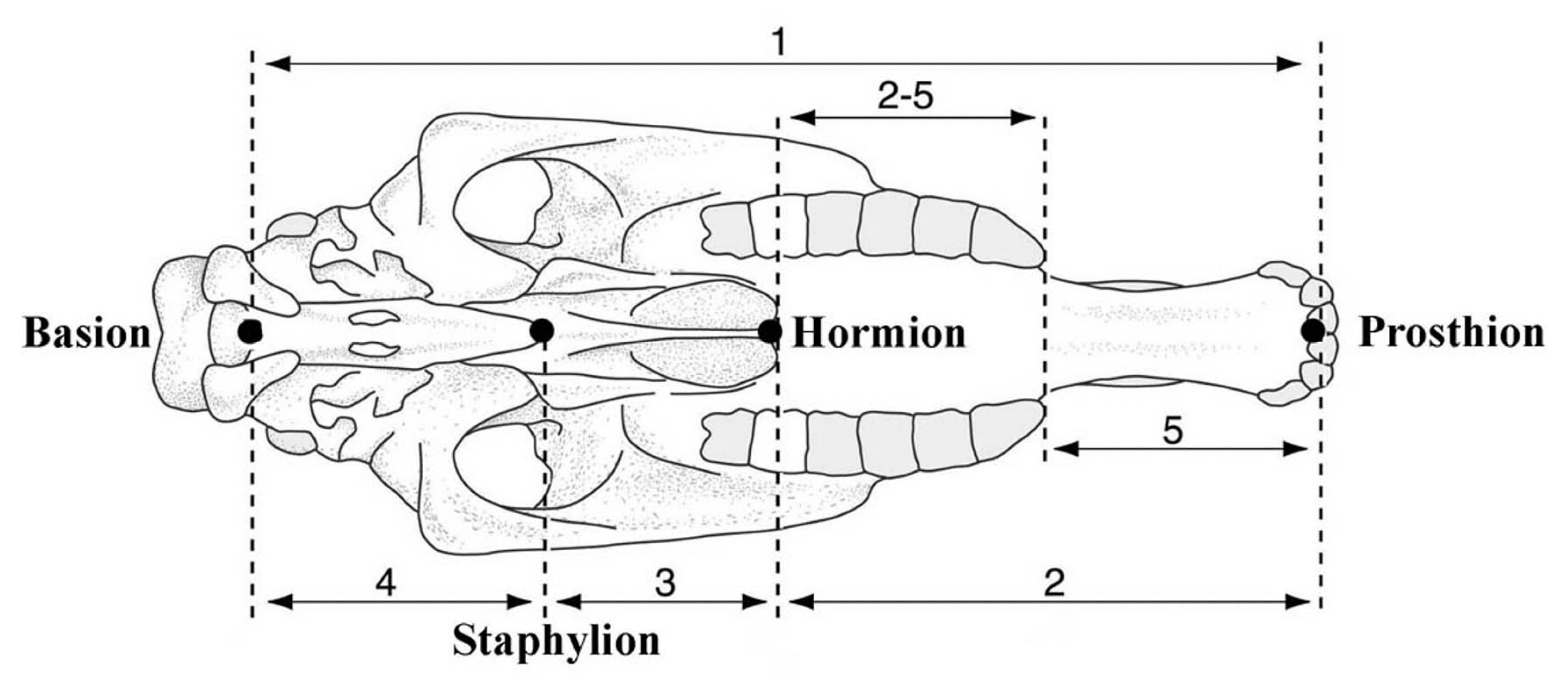 Quaternary 08 00068 g002