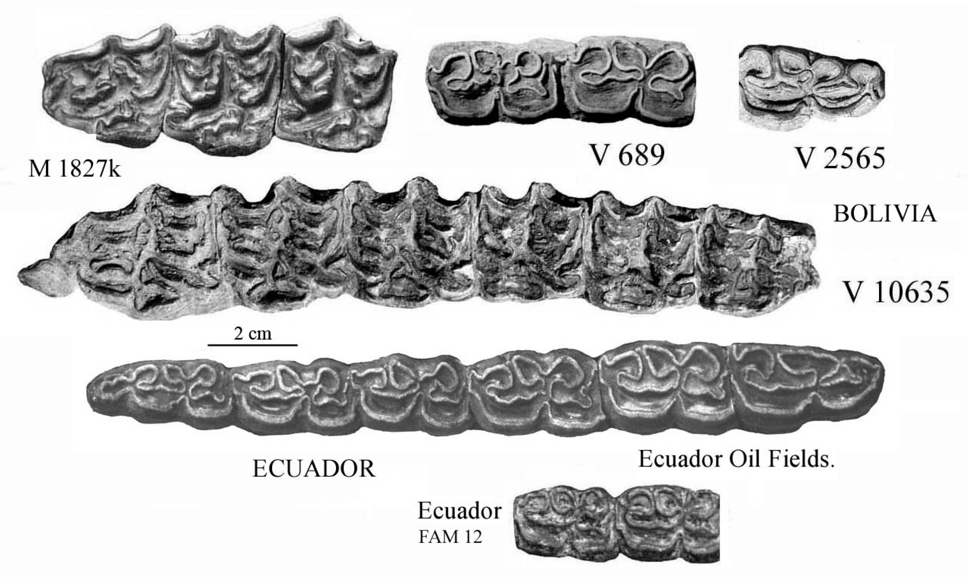 Quaternary 08 00068 g009