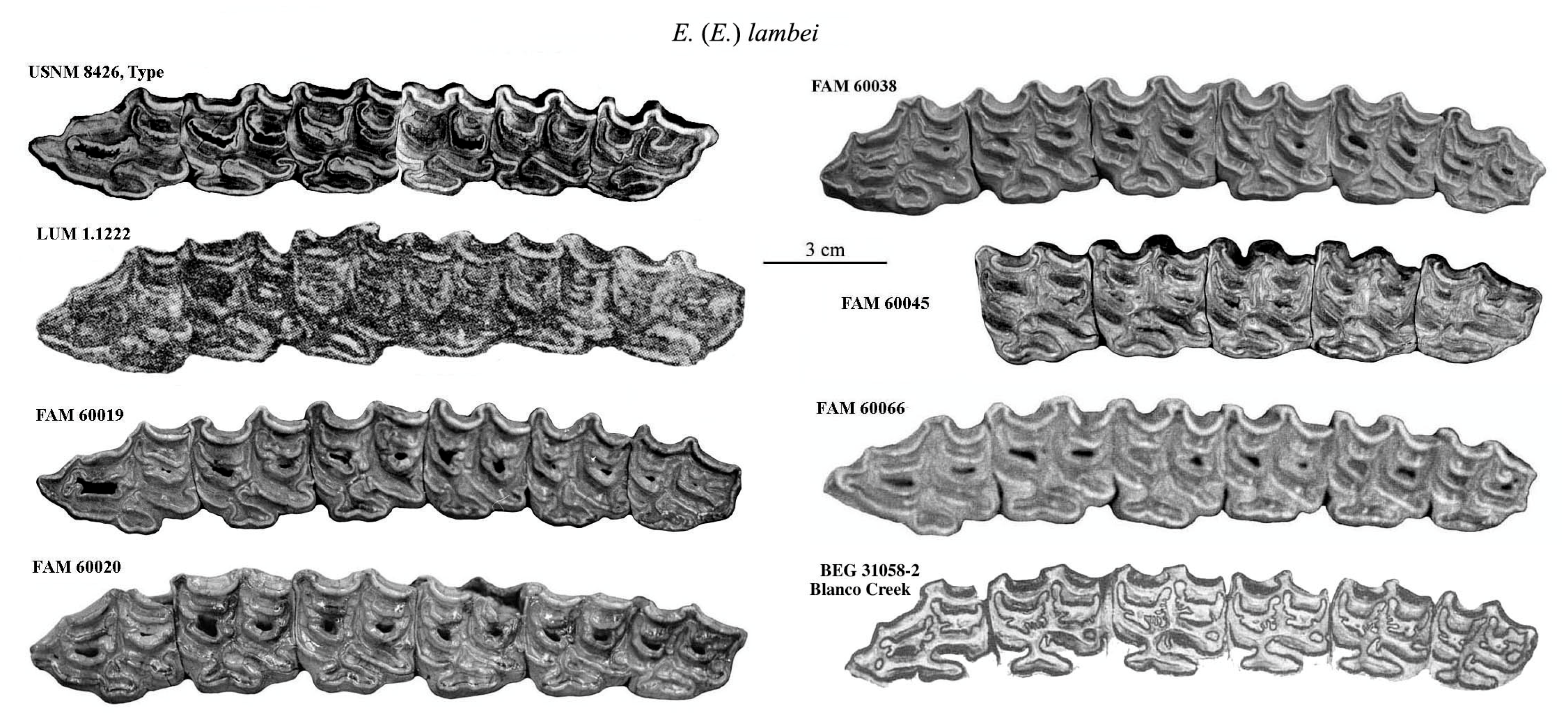Quaternary 08 00068 g010