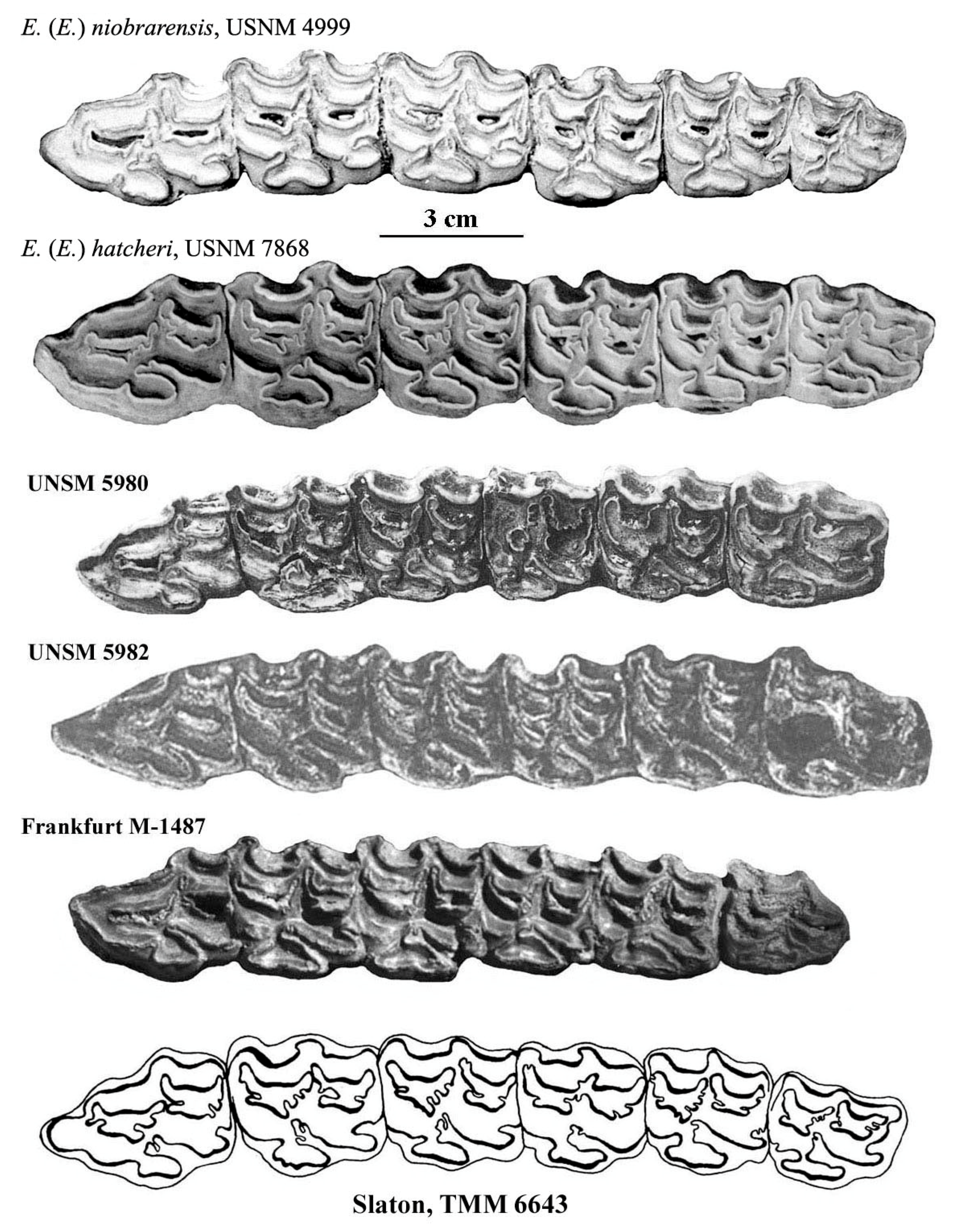 Quaternary 08 00068 g011