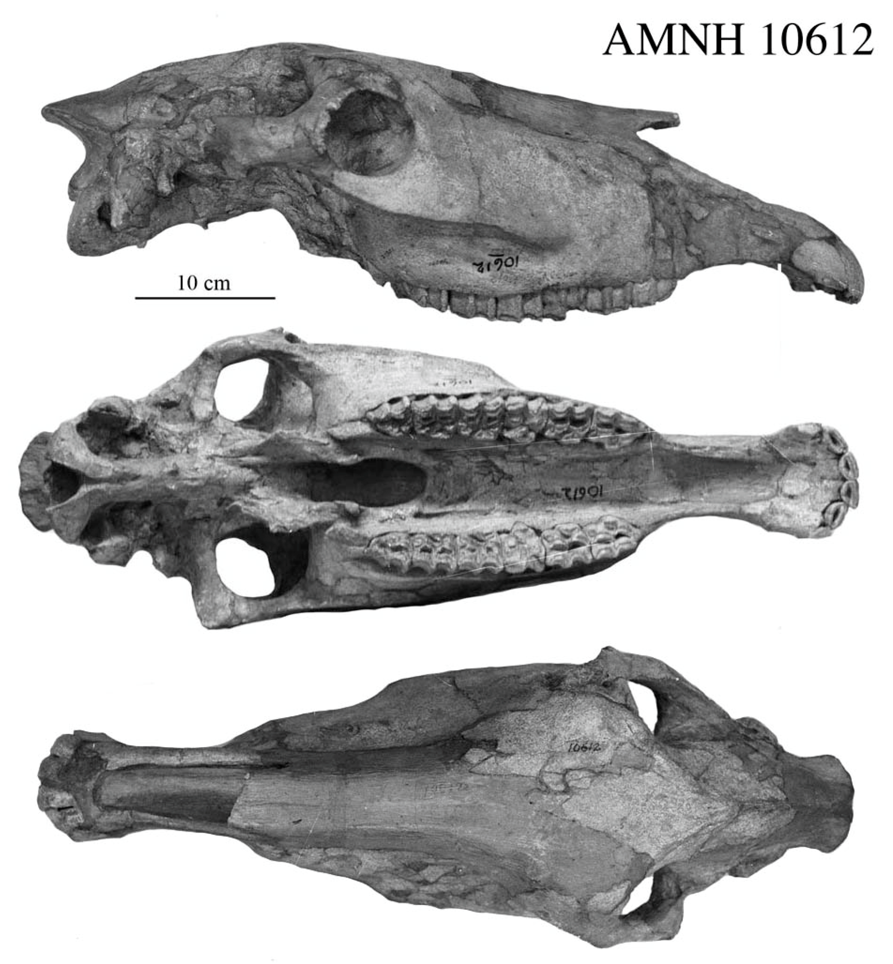 Quaternary 08 00068 g013