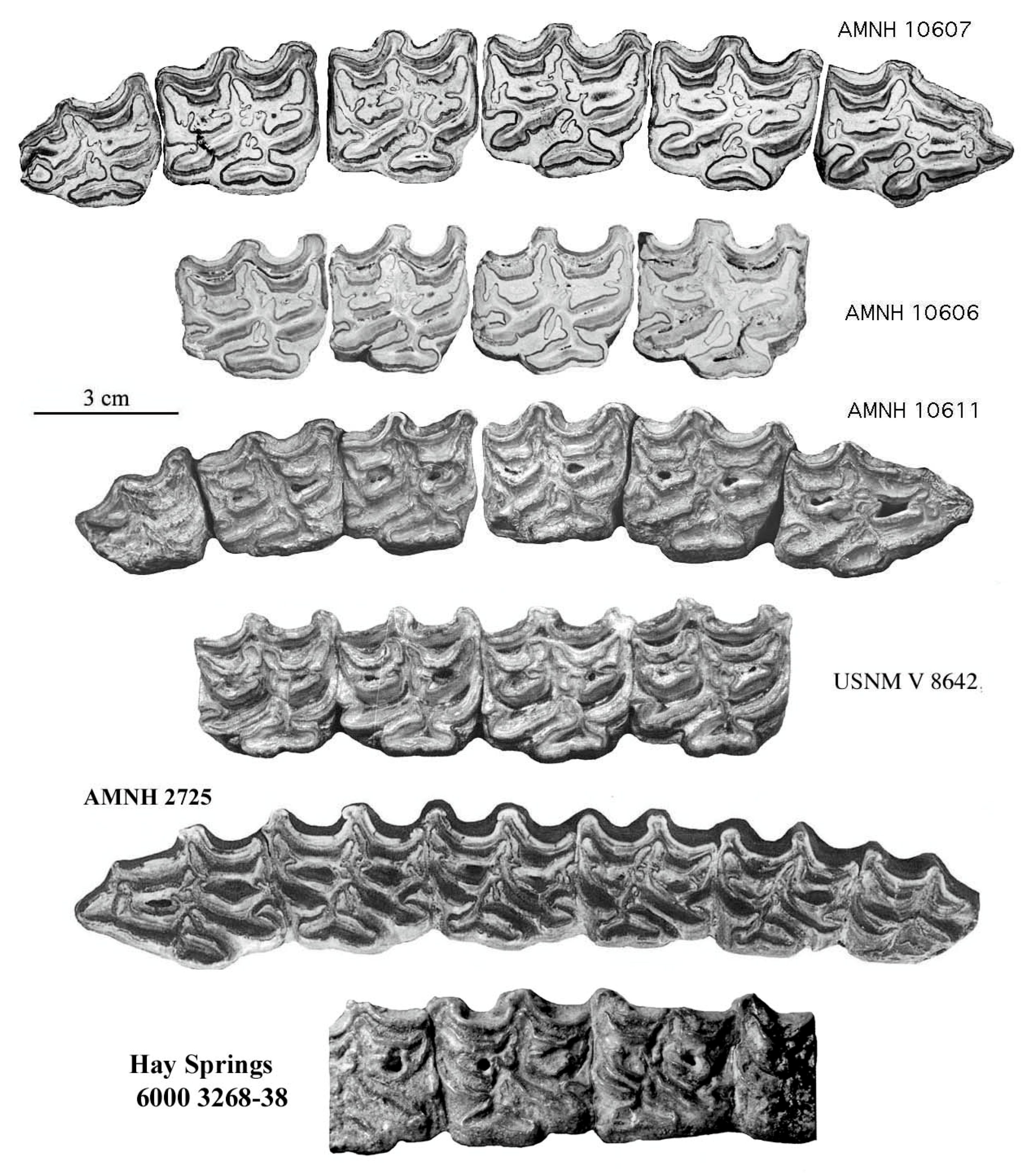 Quaternary 08 00068 g015