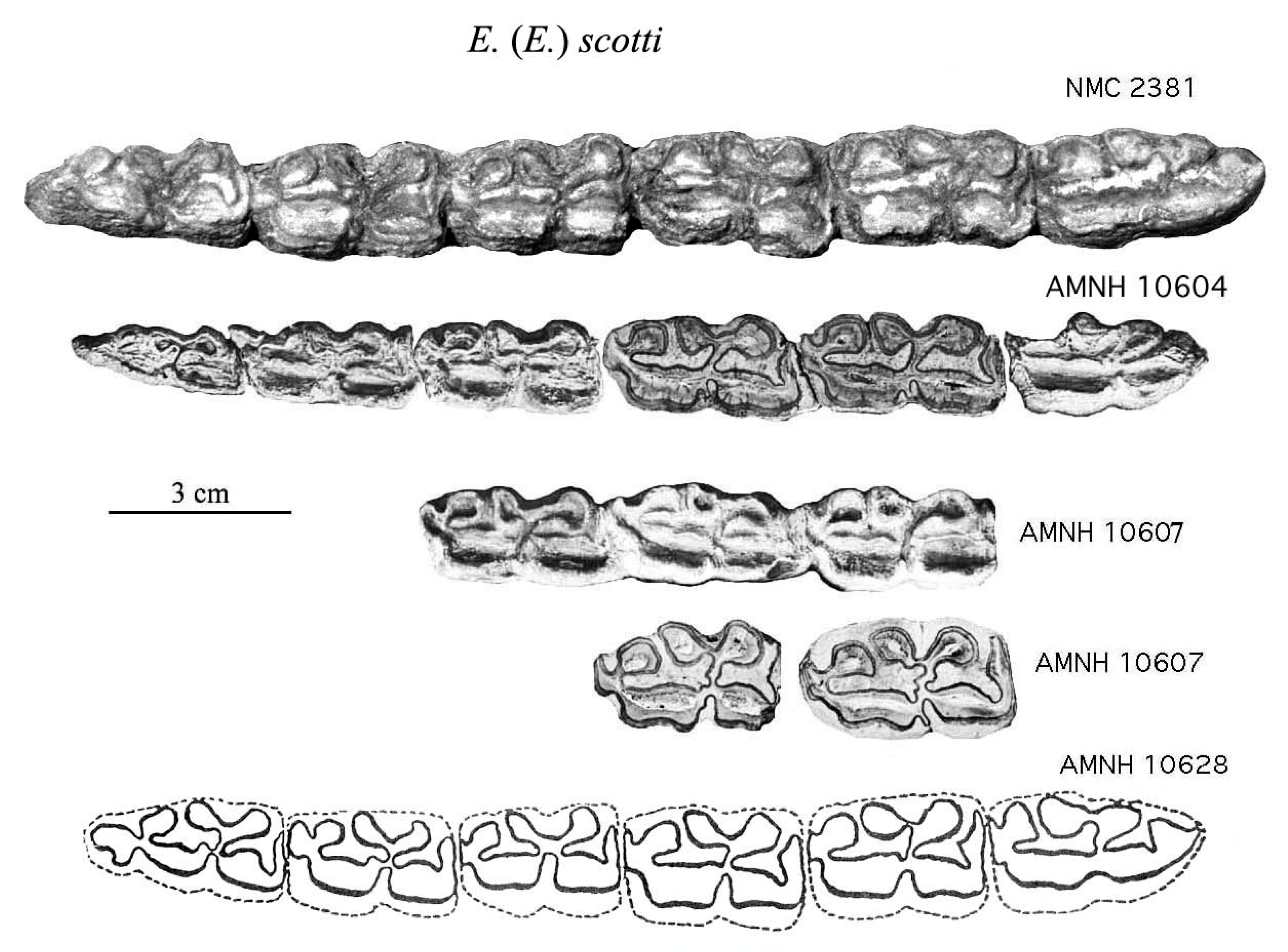 Quaternary 08 00068 g016