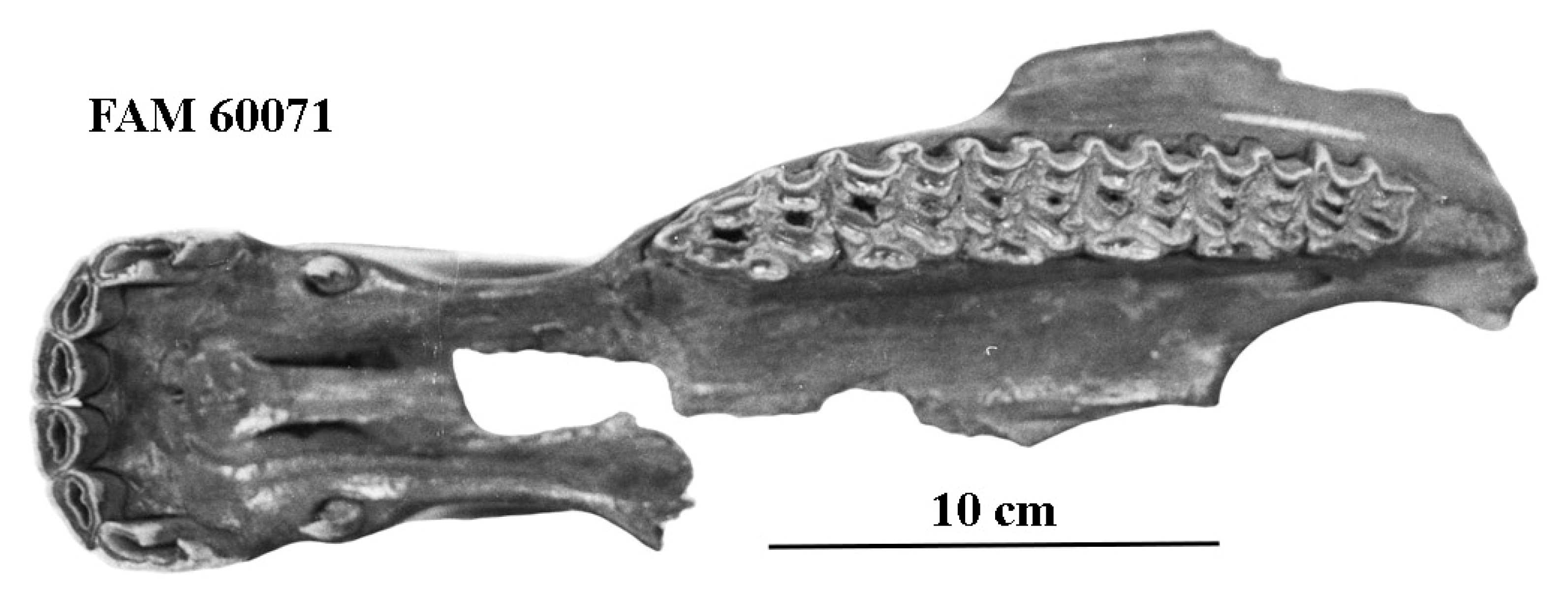 Quaternary 08 00068 g018