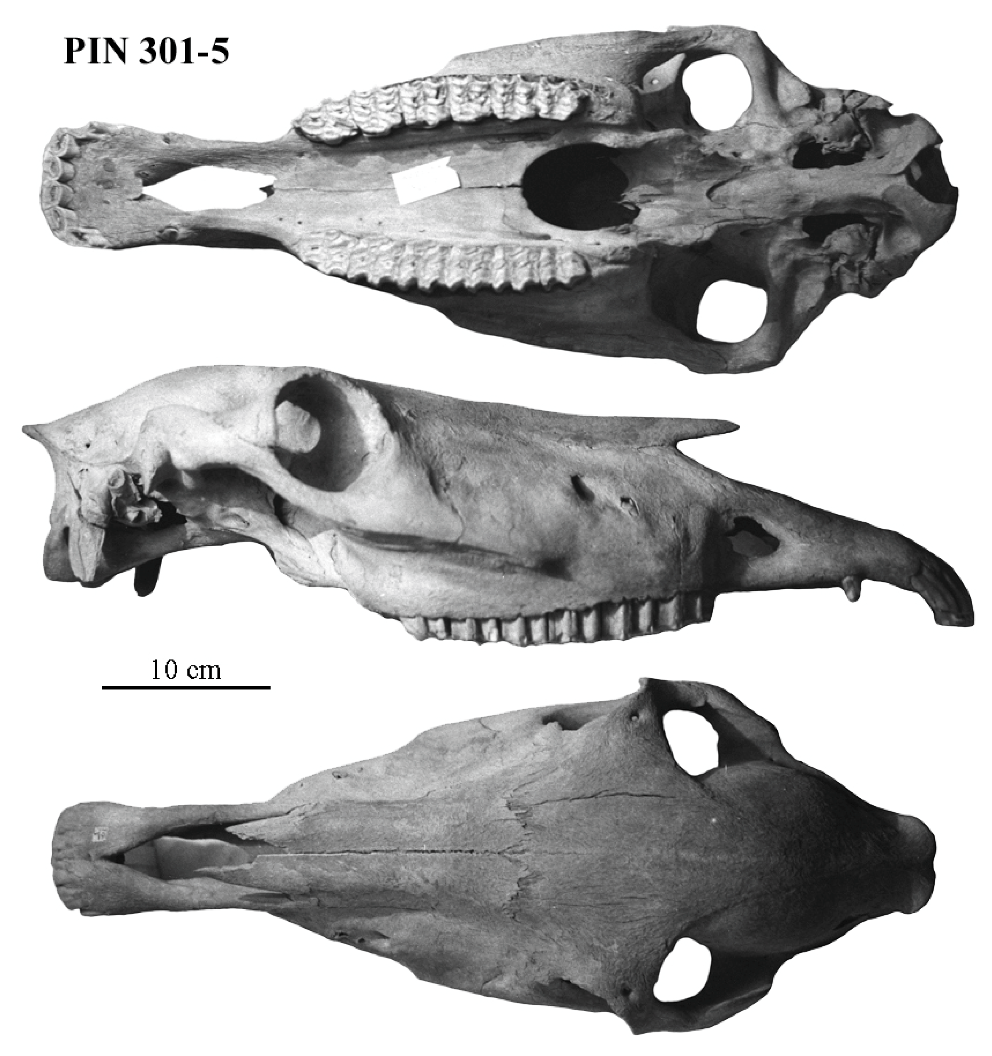 Quaternary 08 00068 g019