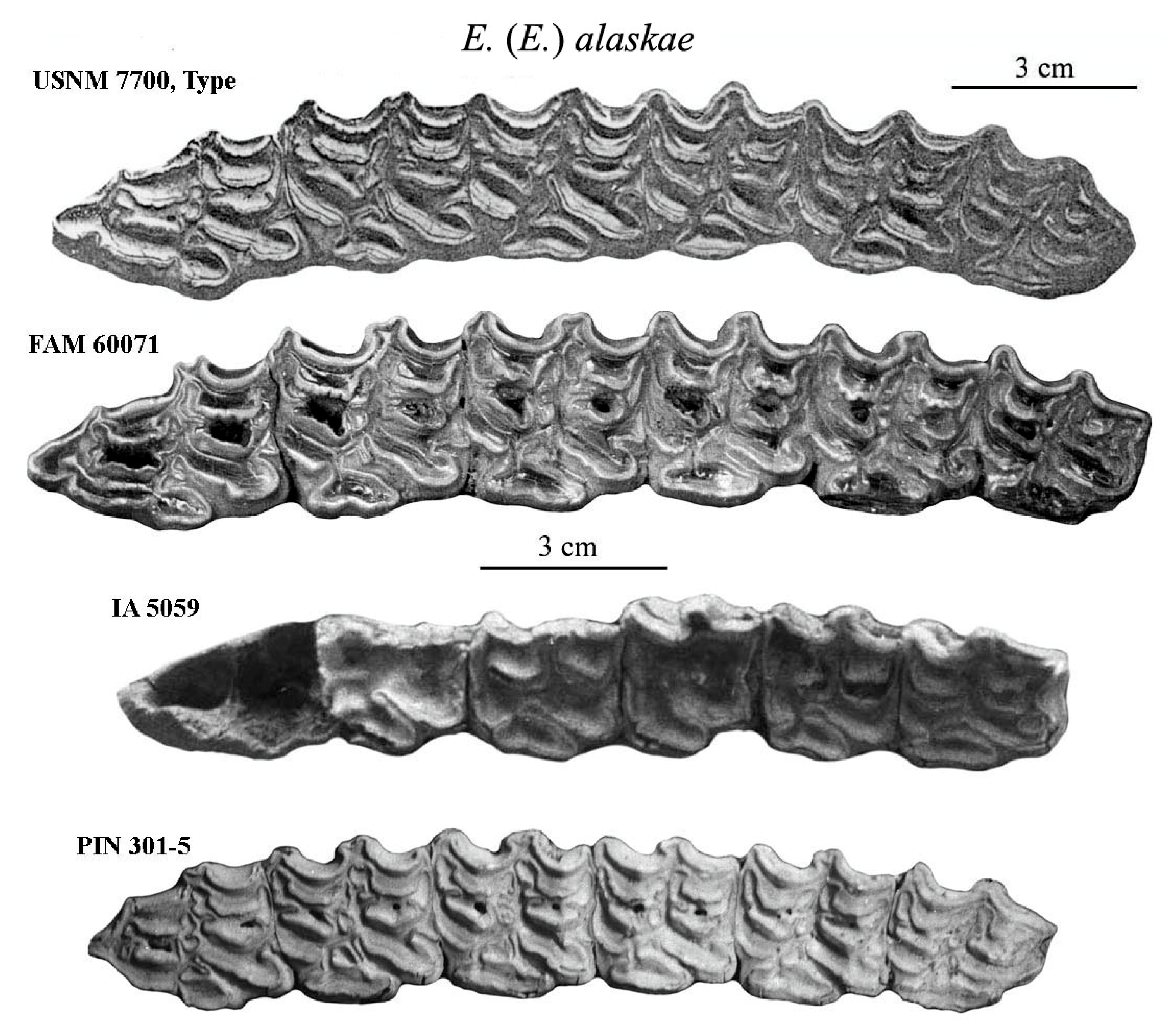 Quaternary 08 00068 g020