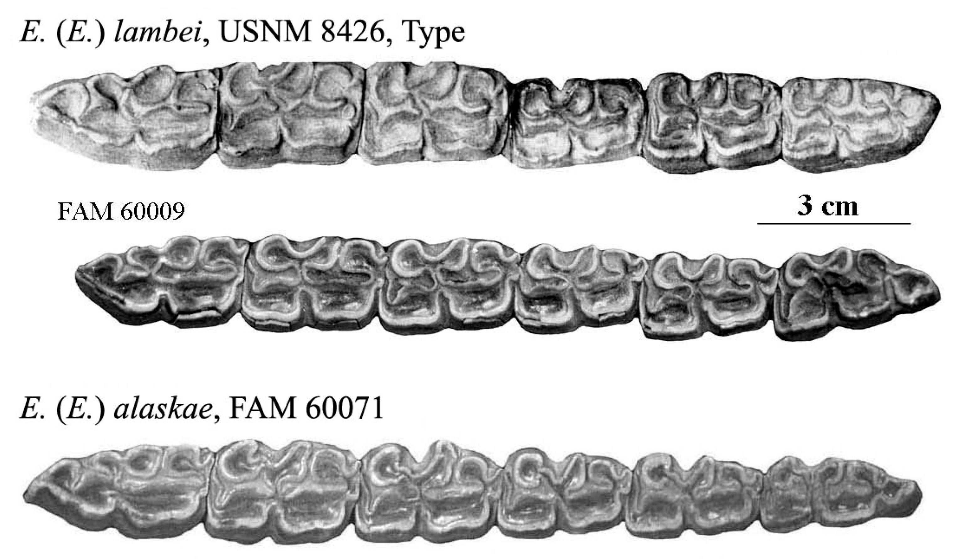 Quaternary 08 00068 g022
