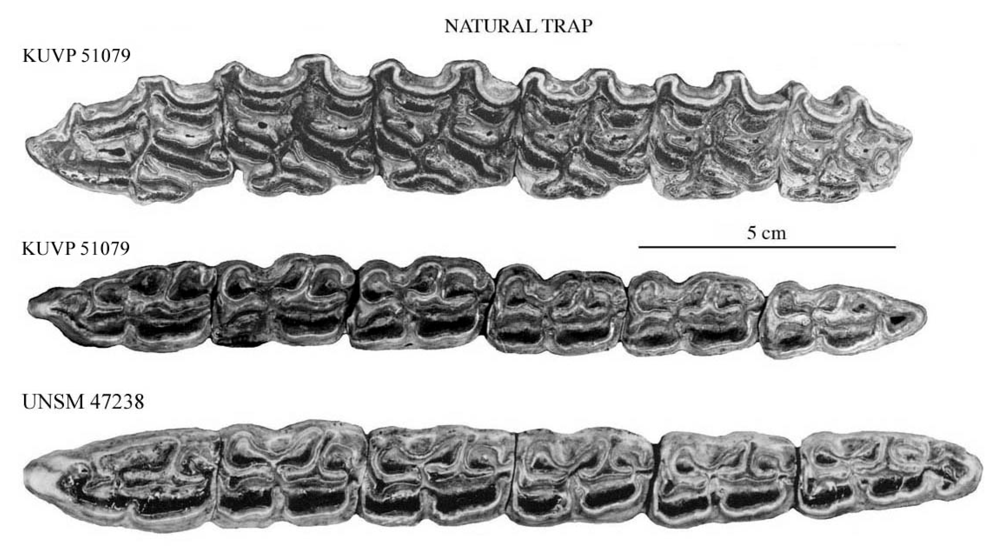 Quaternary 08 00068 g024