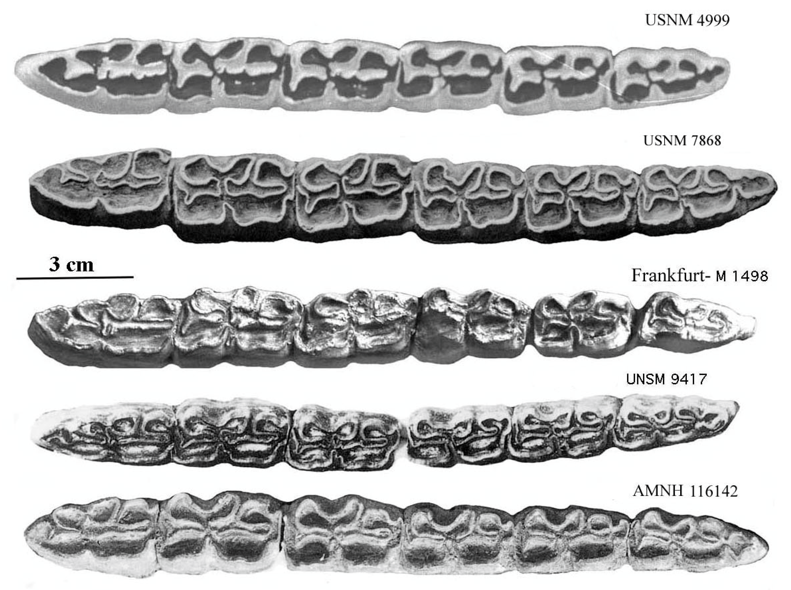 Quaternary 08 00068 g026