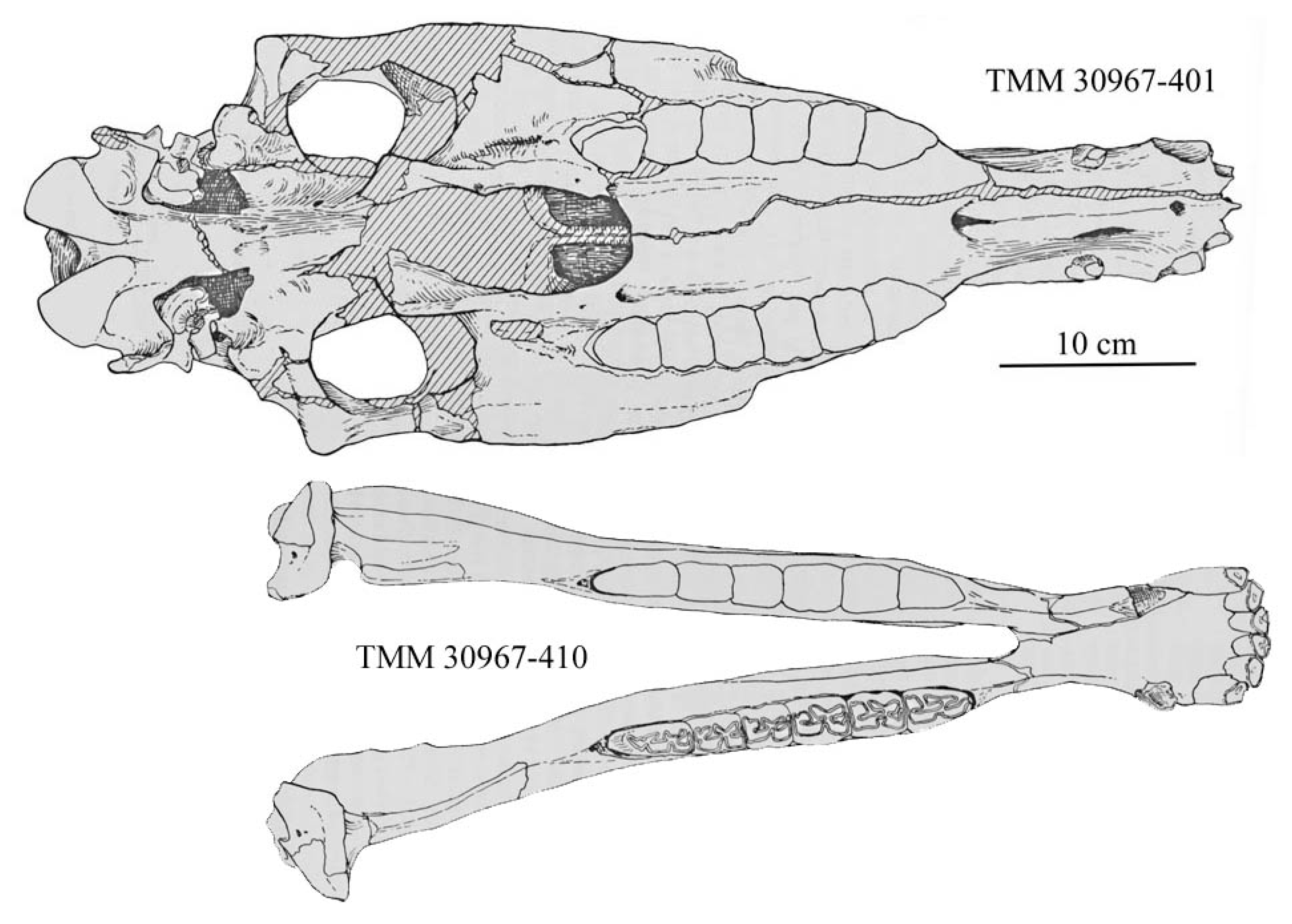 Quaternary 08 00068 g027