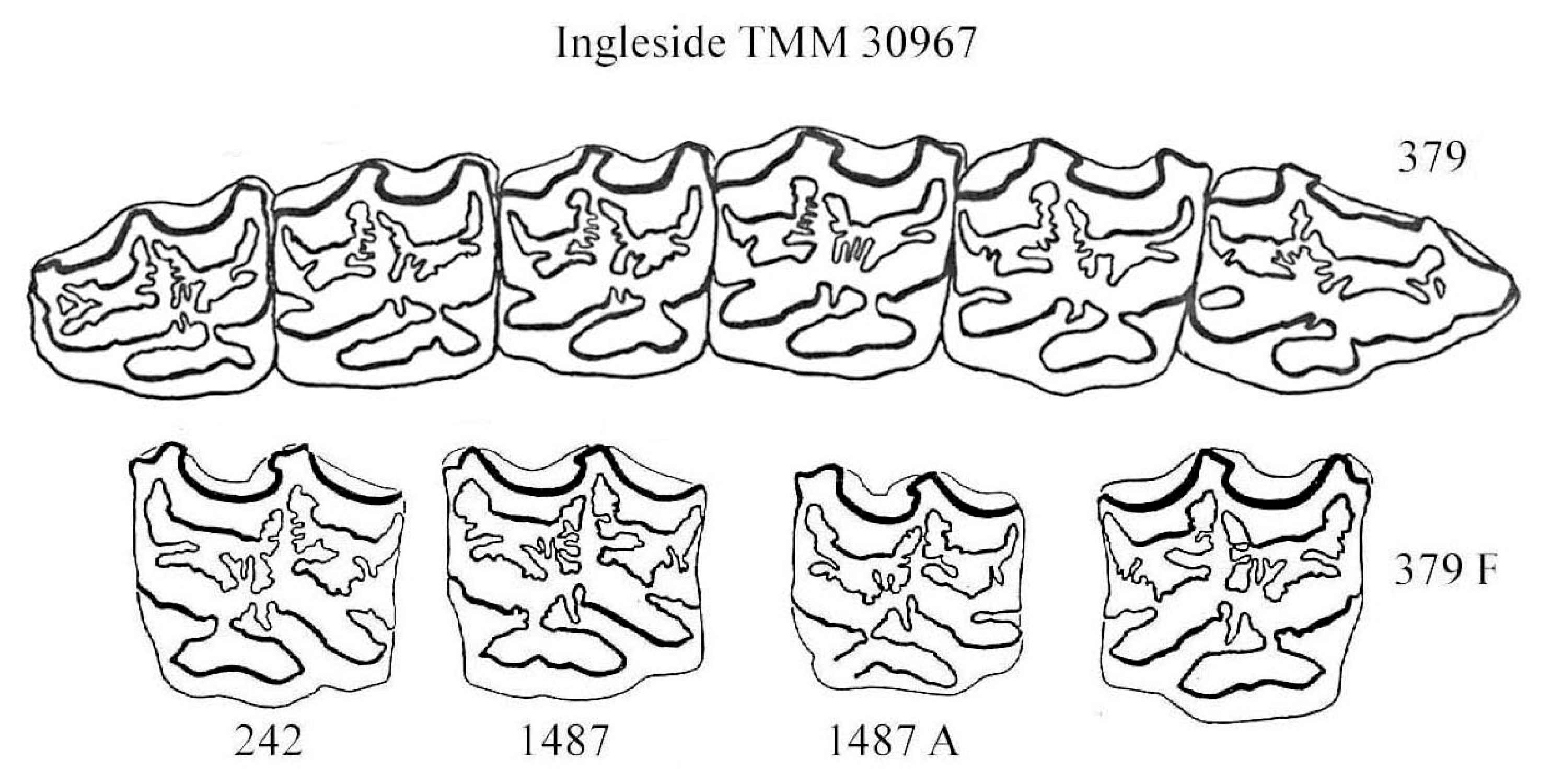 Quaternary 08 00068 g028