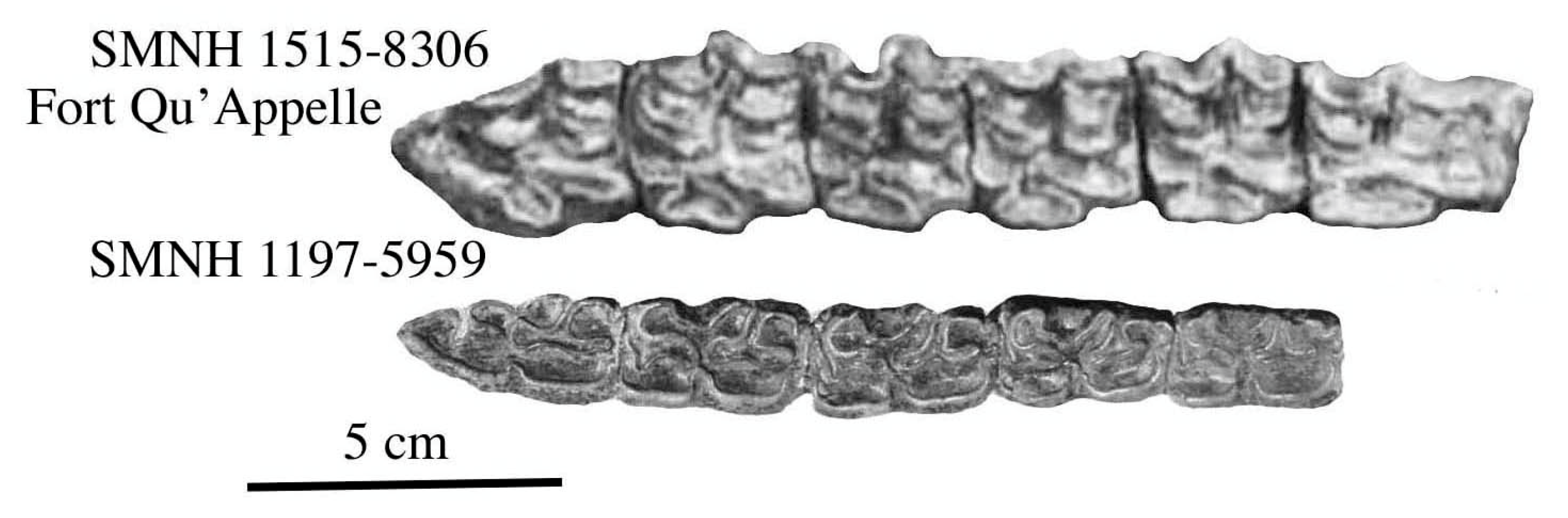 Quaternary 08 00068 g030