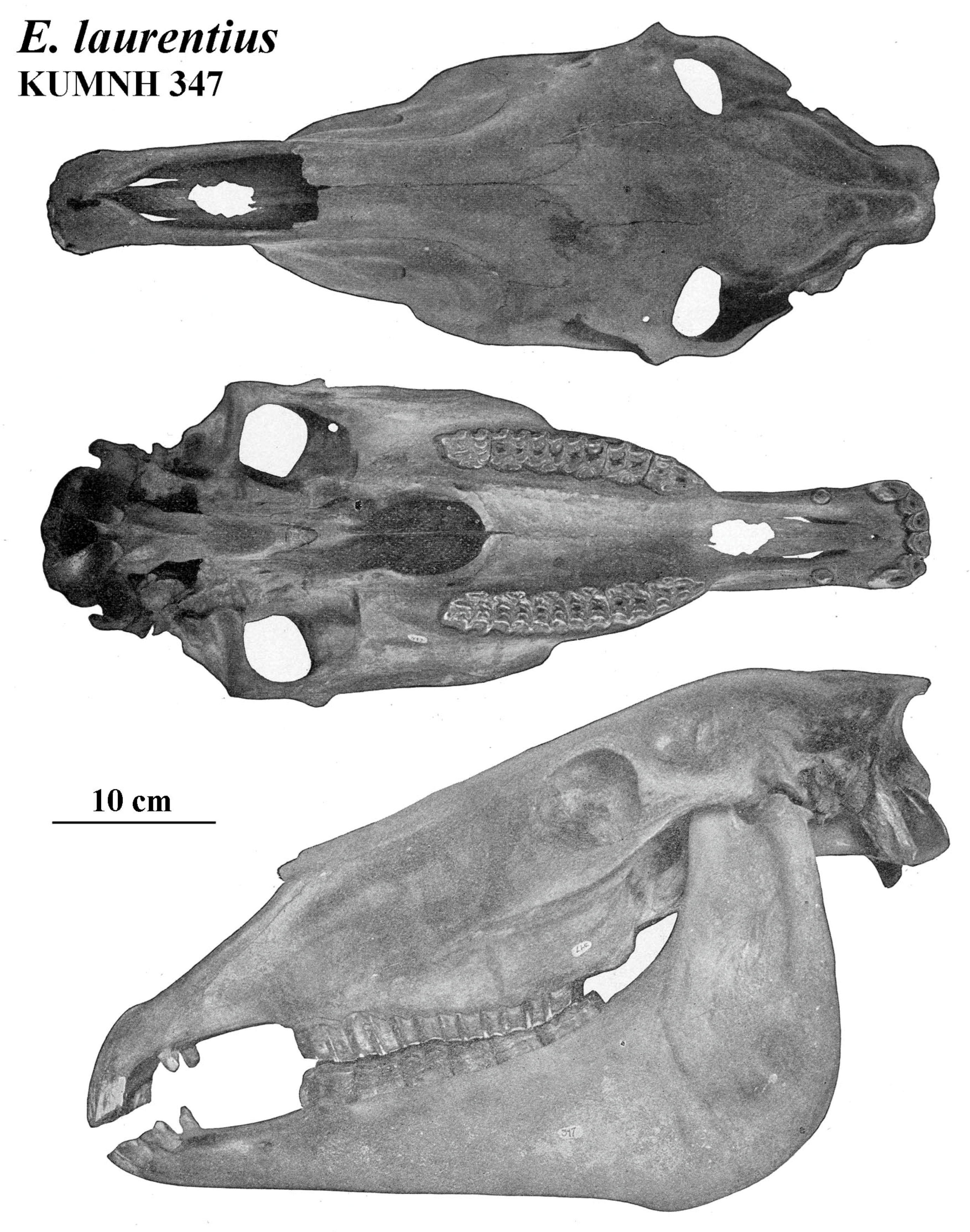 Quaternary 08 00068 g033