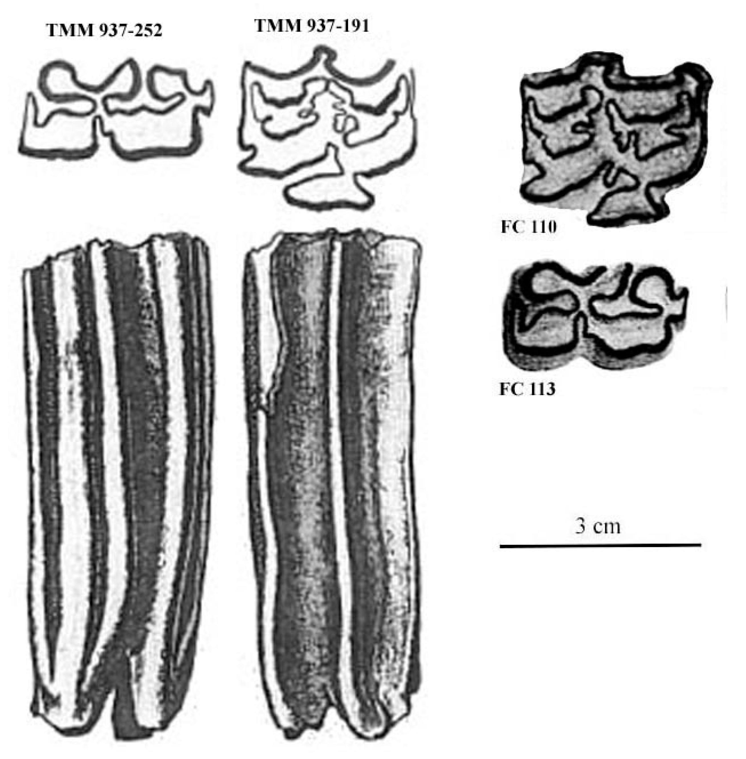 Quaternary 08 00068 g035