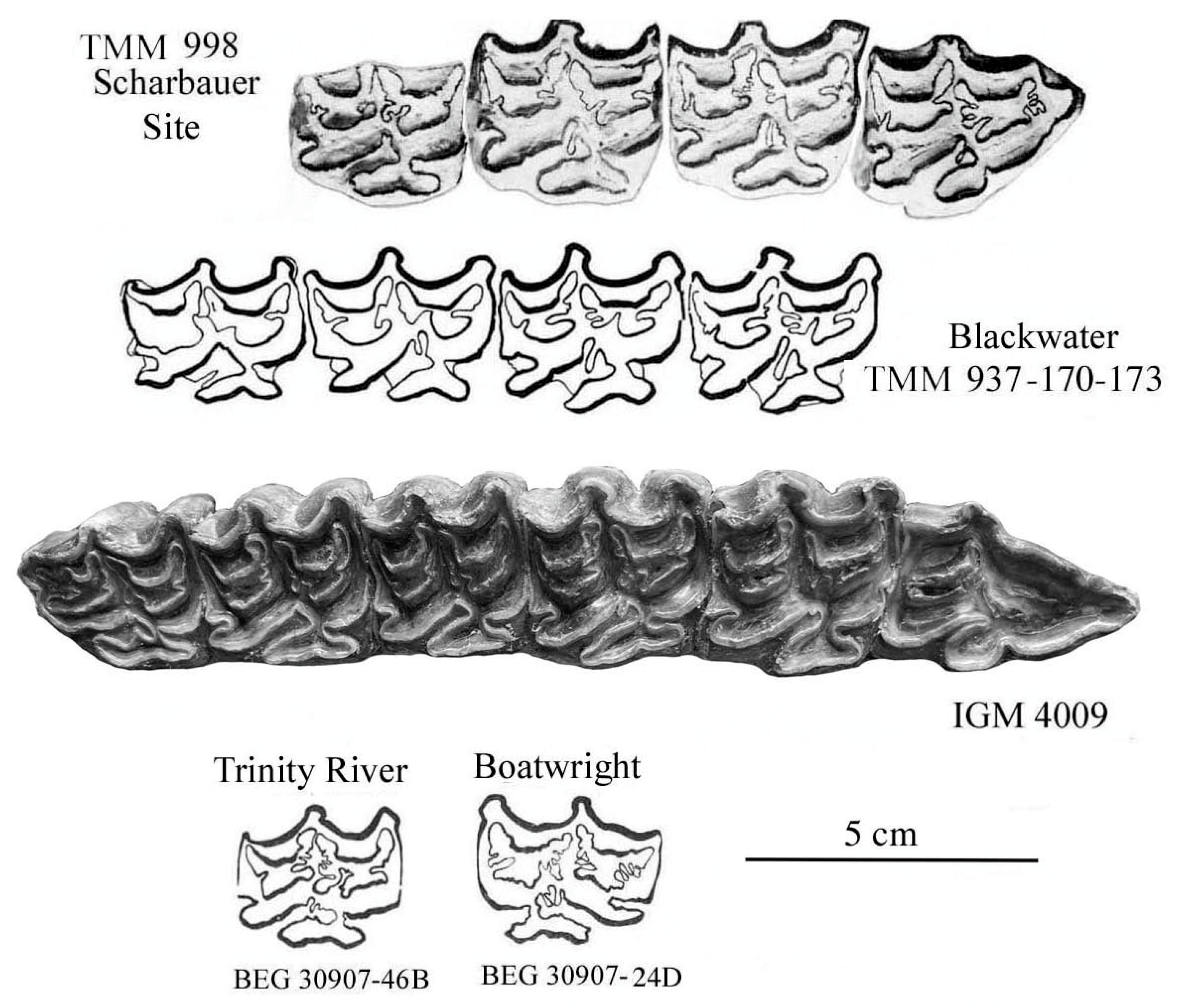 Quaternary 08 00068 g037