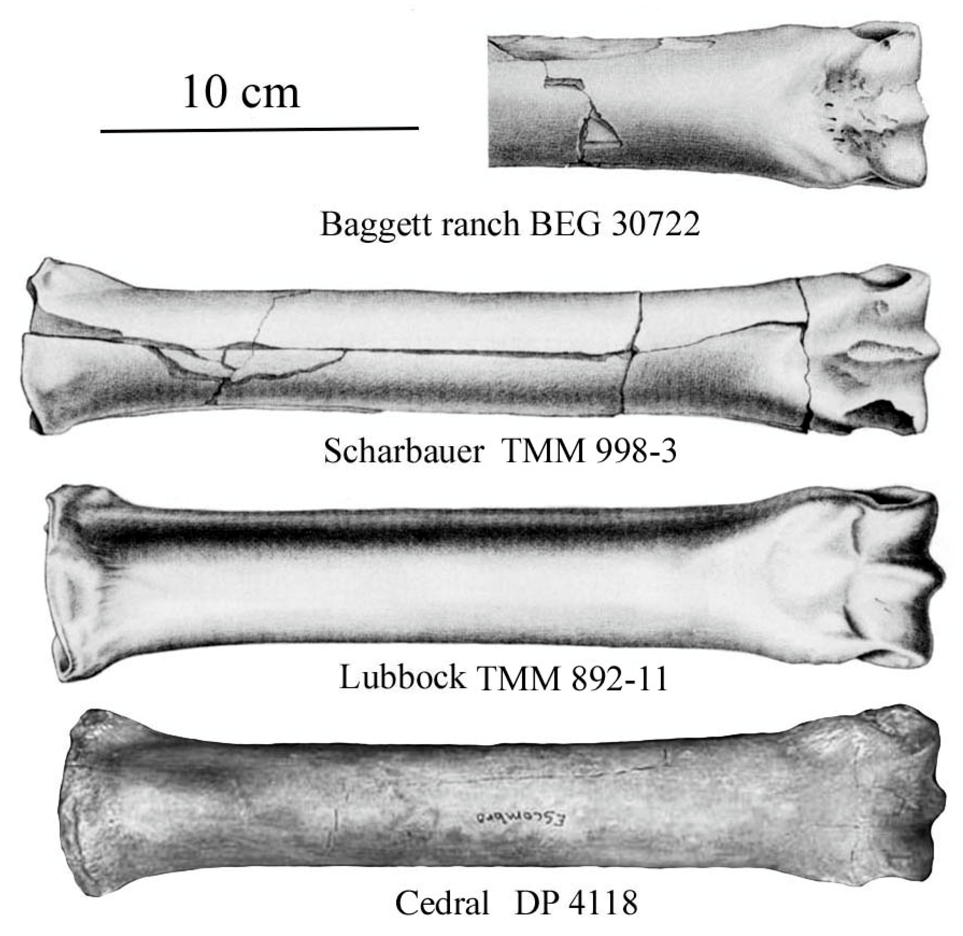 Quaternary 08 00068 g038