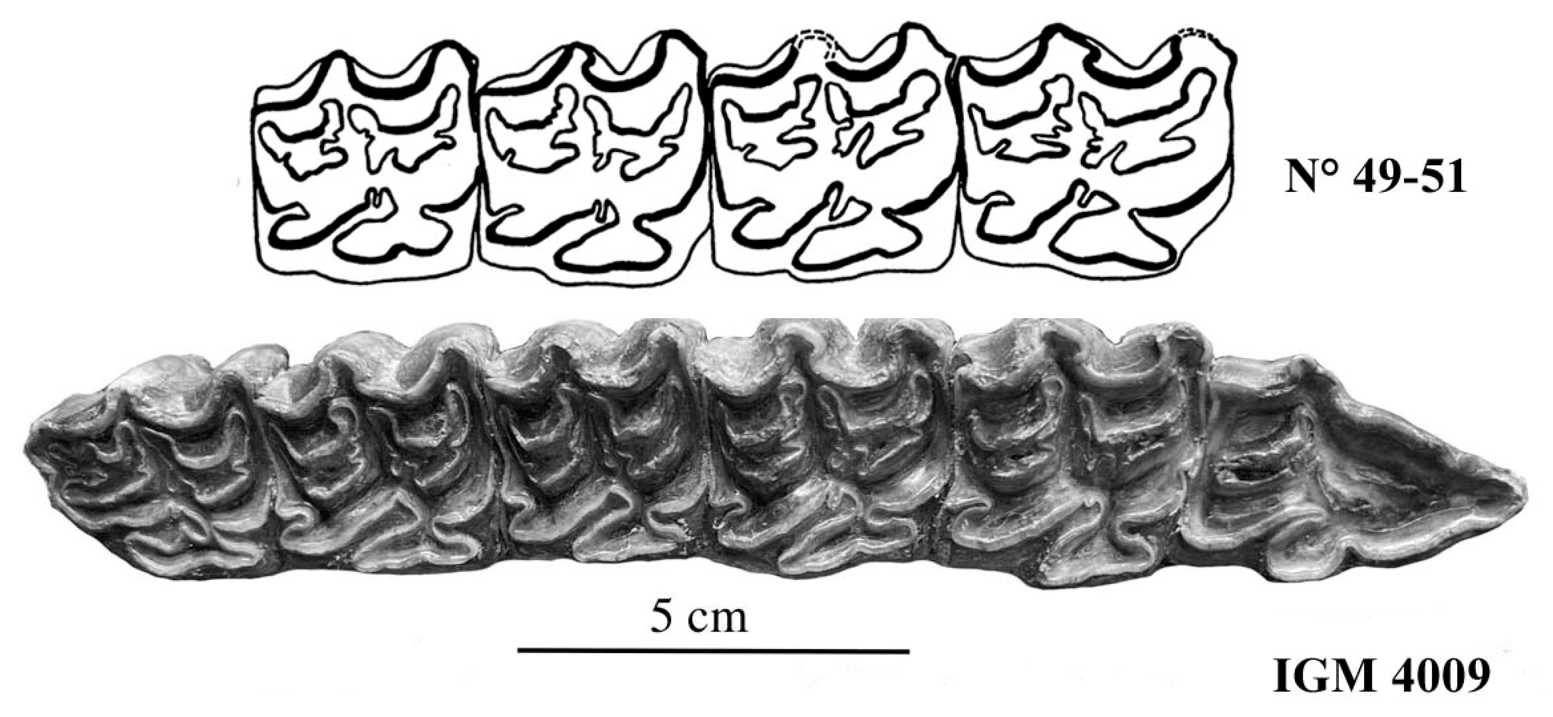 Quaternary 08 00068 g042