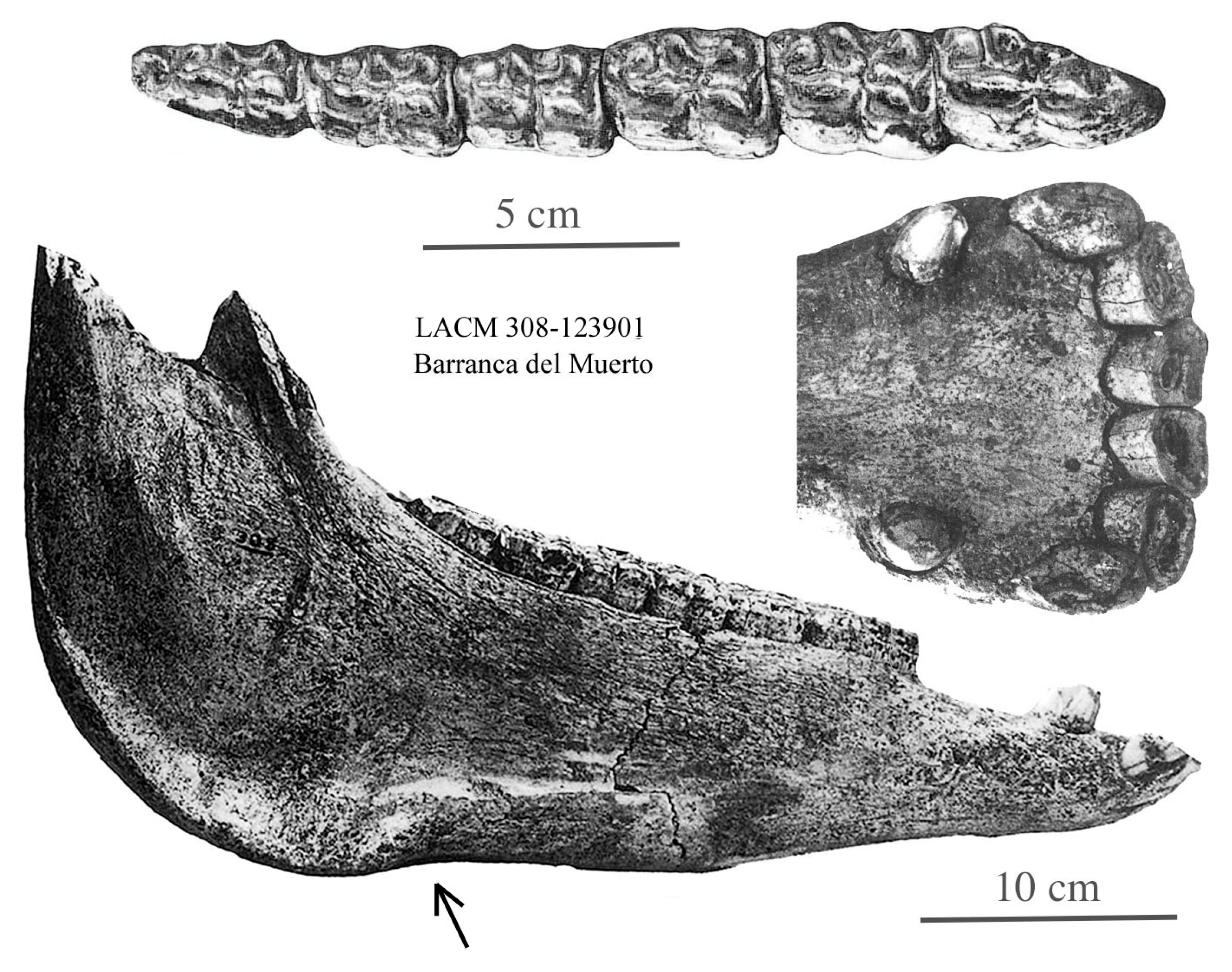Quaternary 08 00068 g043