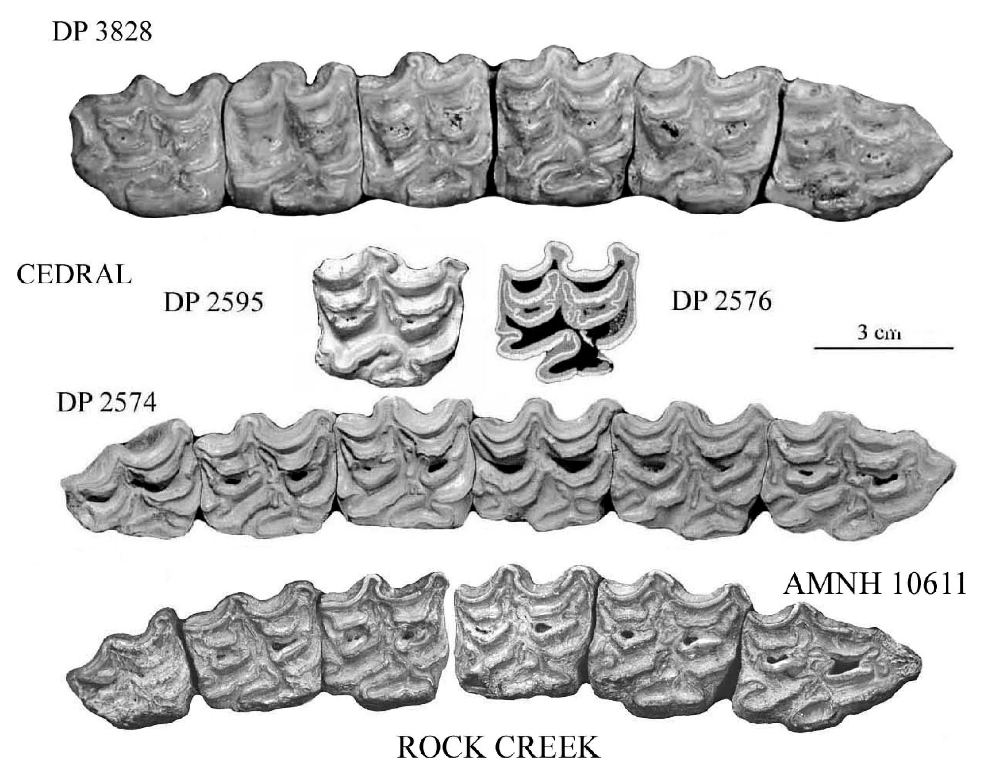 Quaternary 08 00068 g044