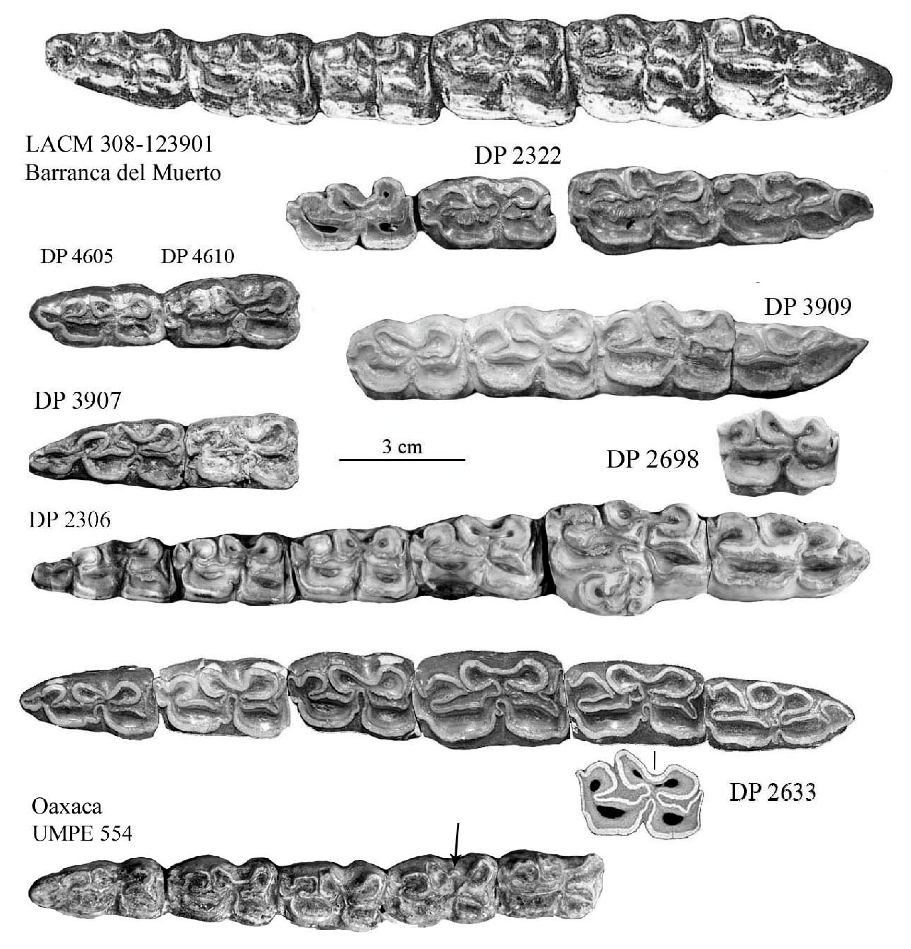 Quaternary 08 00068 g045