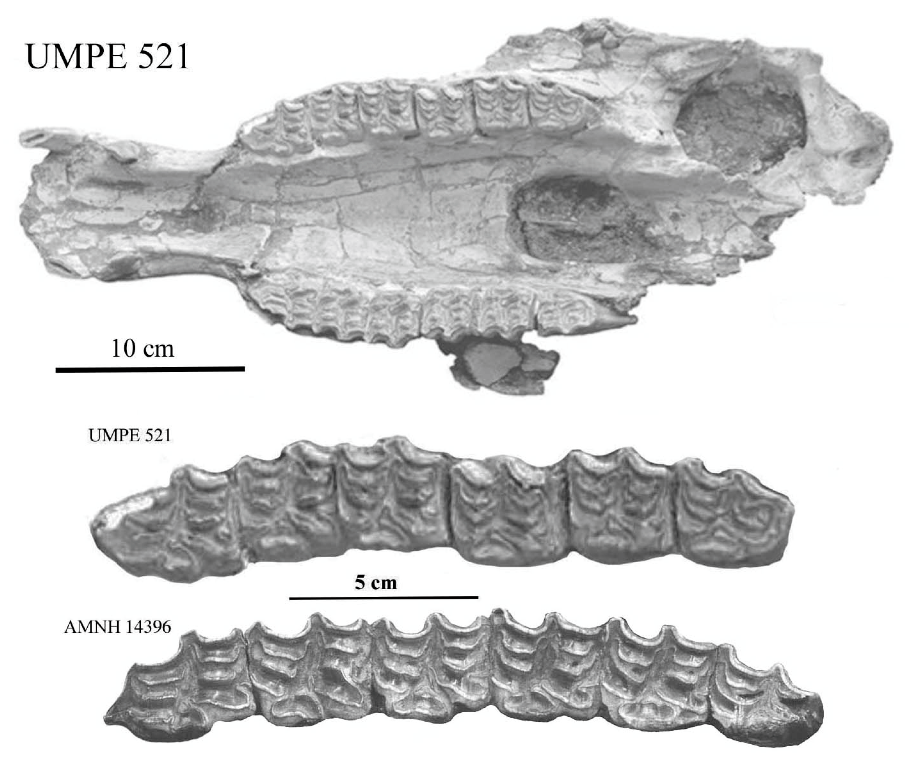 Quaternary 08 00068 g046