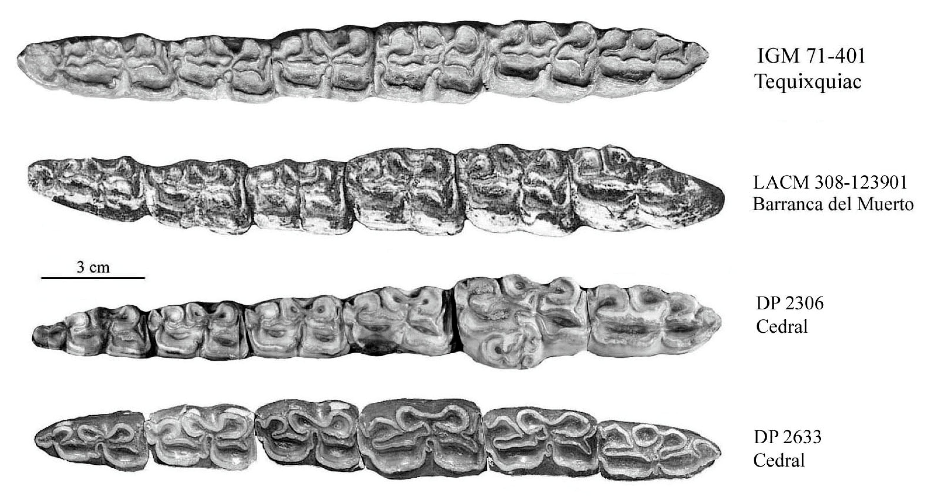 Quaternary 08 00068 g047