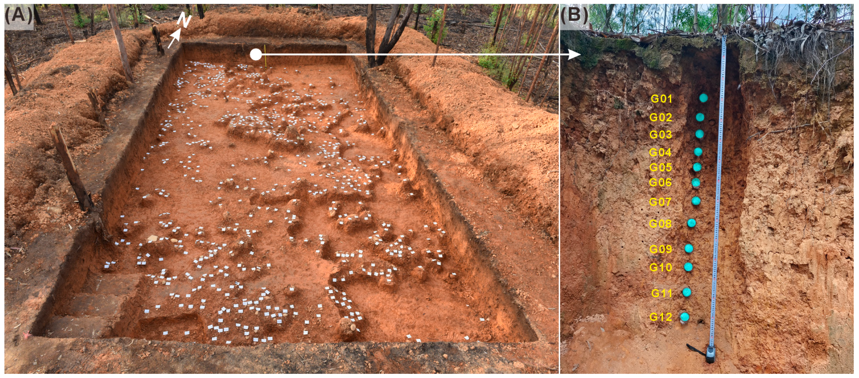 Quaternary 08 00070 g002