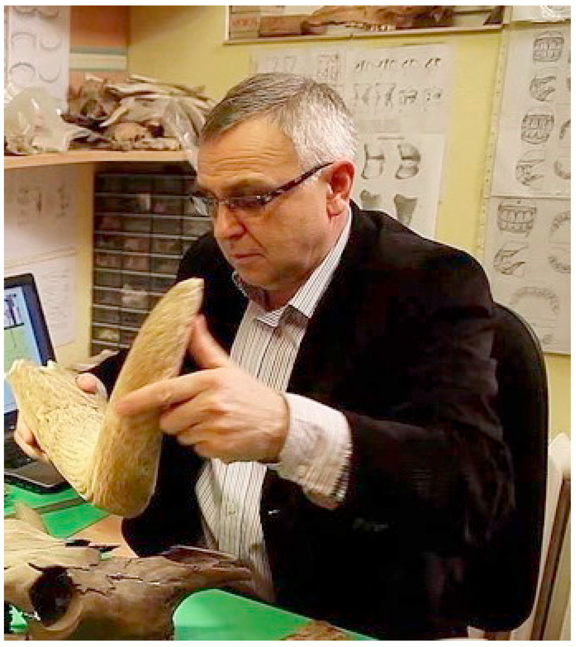 Quaternary 08 00073 g001 Quaternary 08 00073 g001