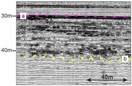 Quaternary 08 00074 i002 Quaternary 08 00074 i002