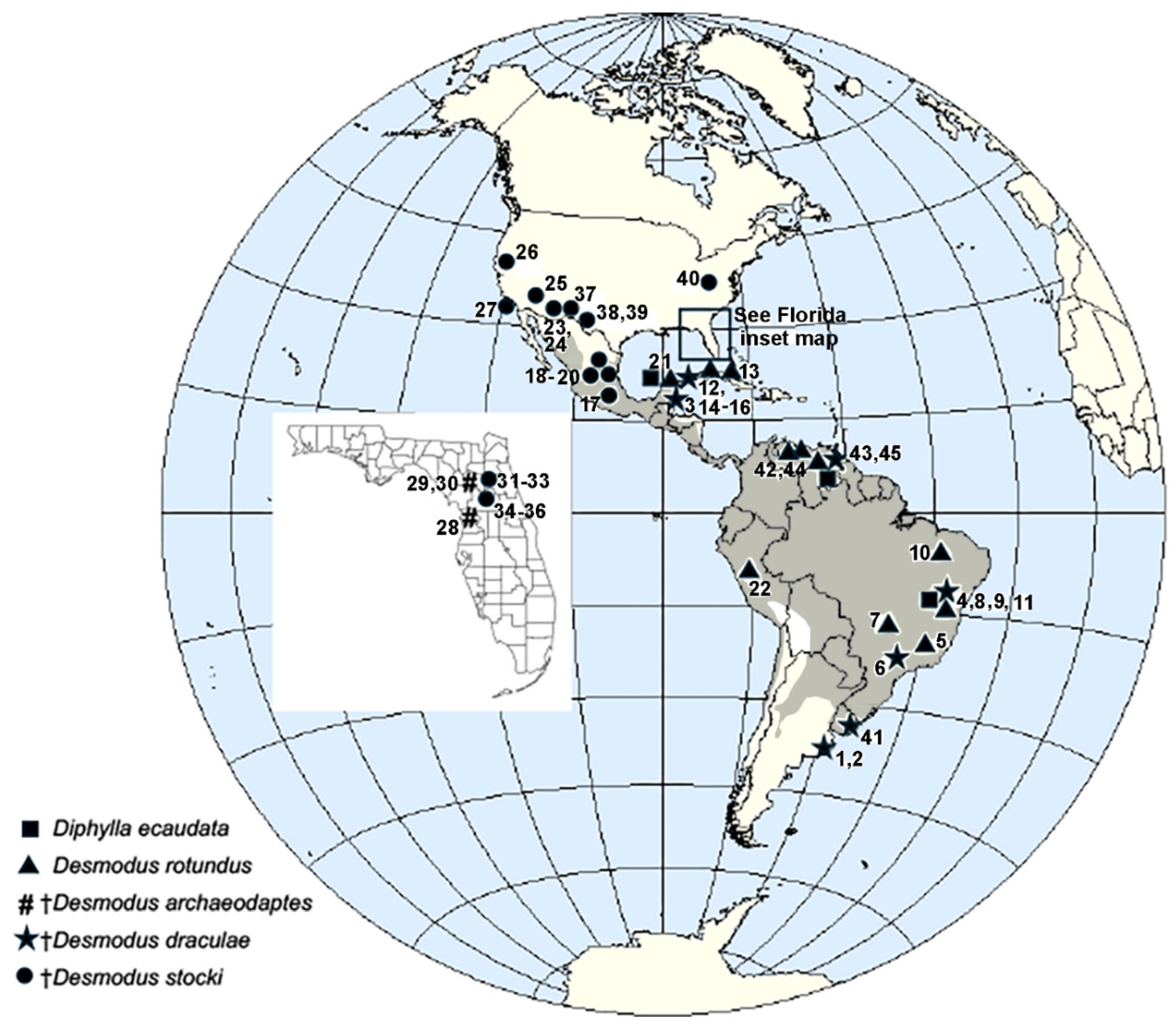 Quaternary 09 00002 g001