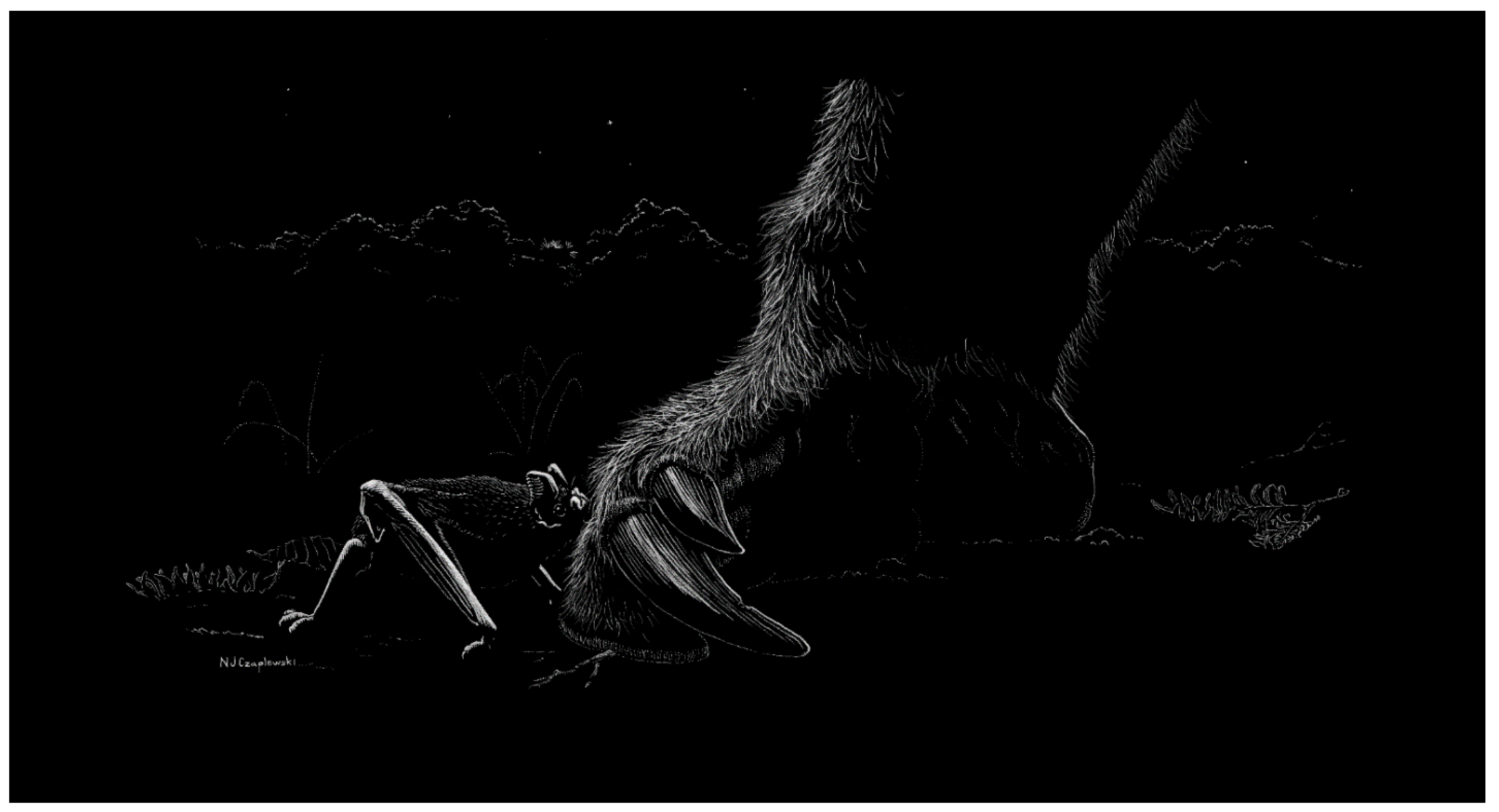 Quaternary 09 00002 g003