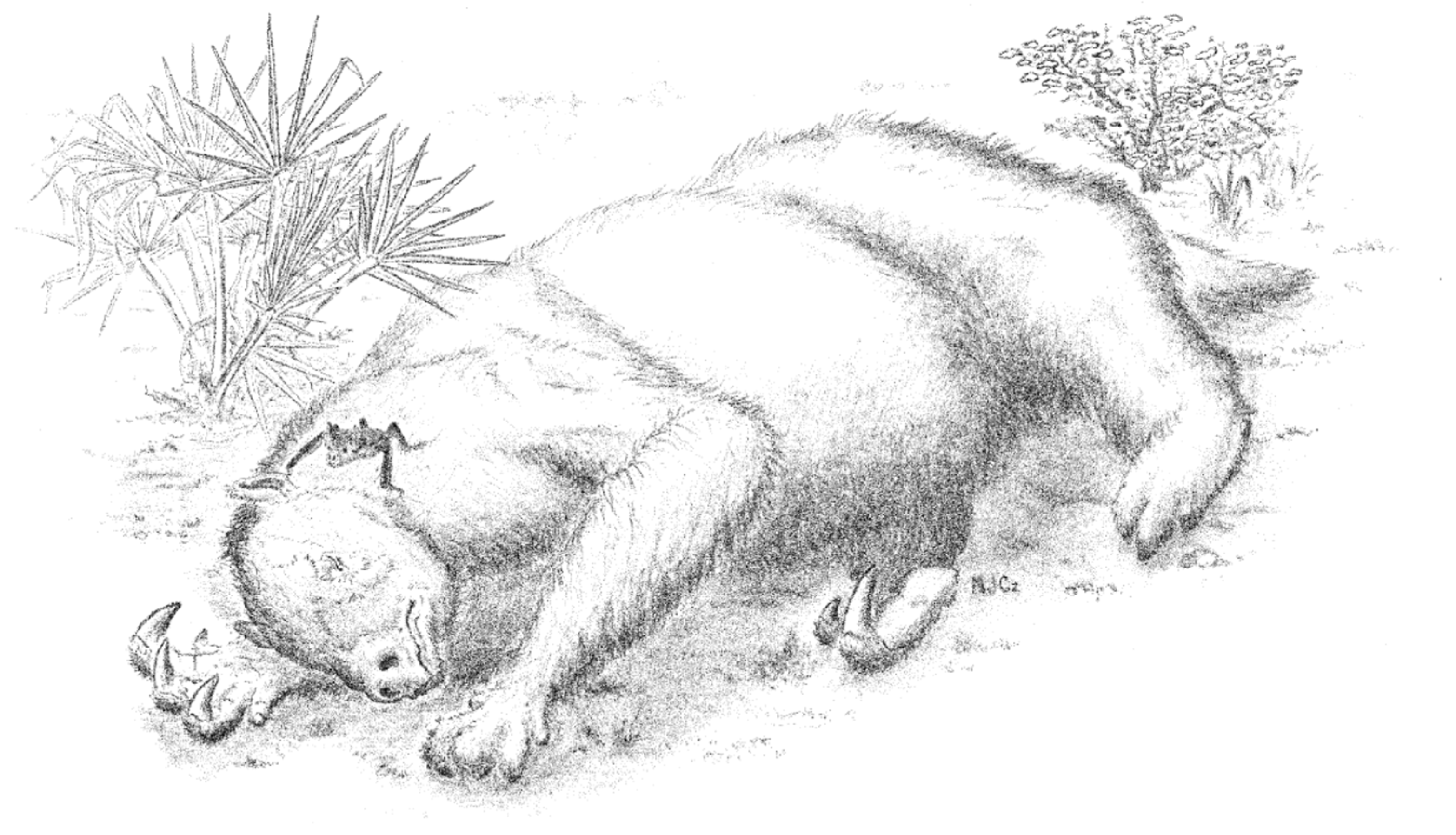 Quaternary 09 00002 g004