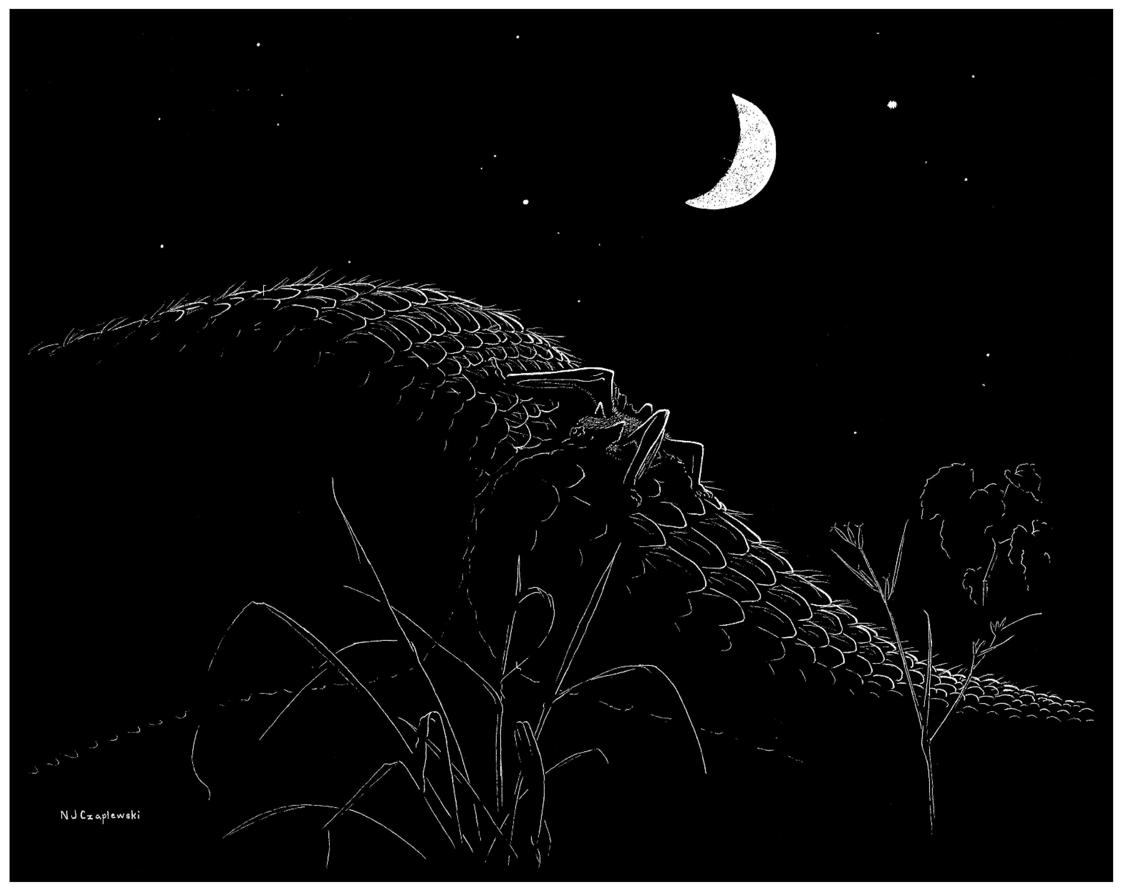 Quaternary 09 00002 g005