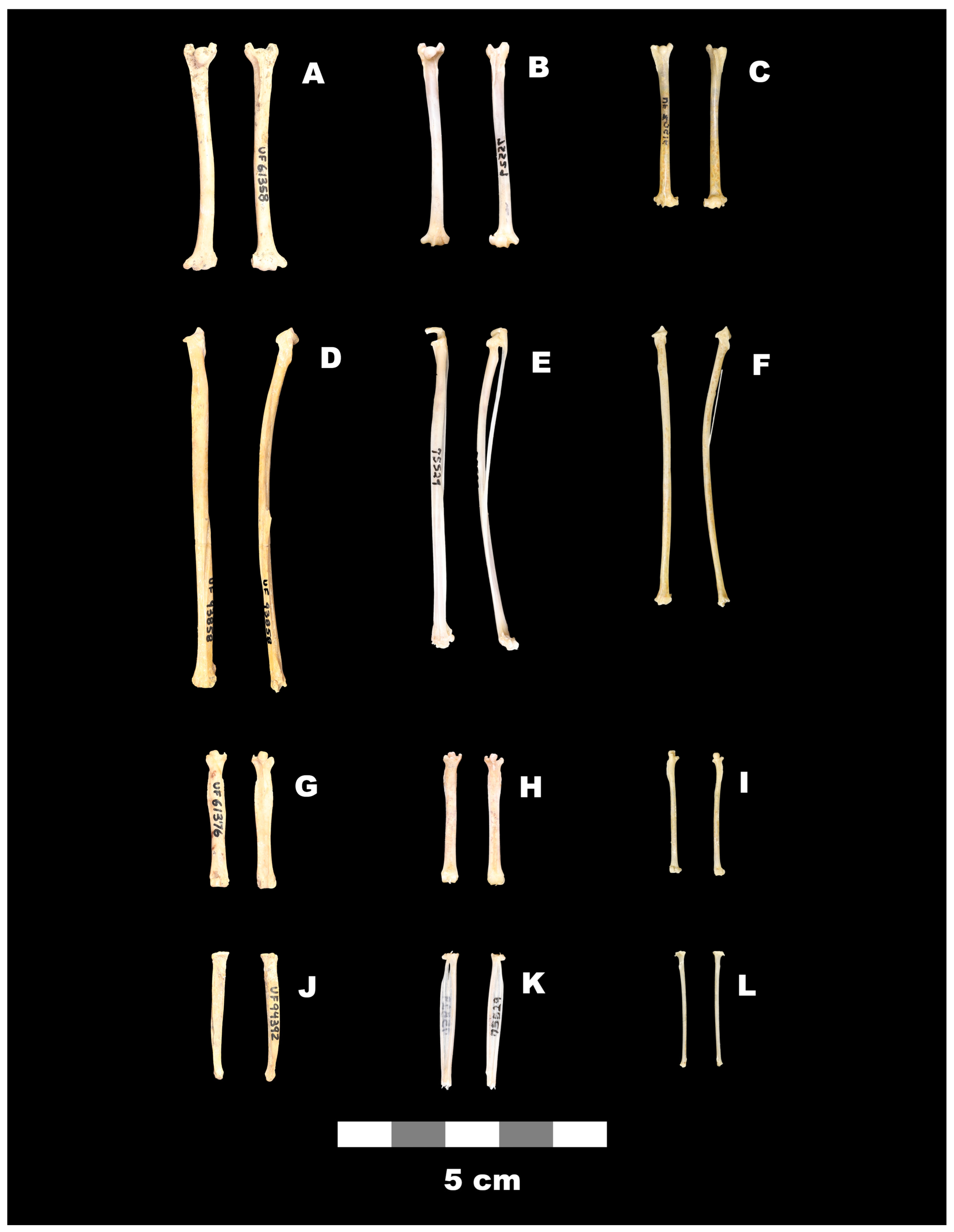 Quaternary 09 00002 g006