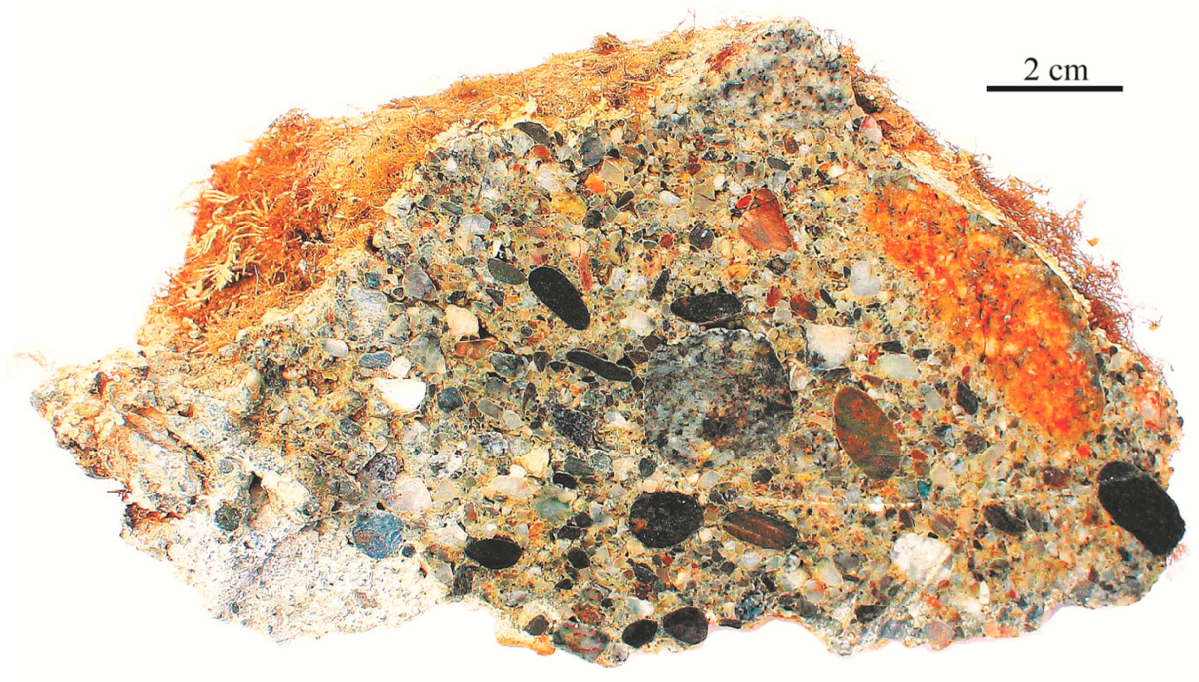 Quaternary 09 00019 g008