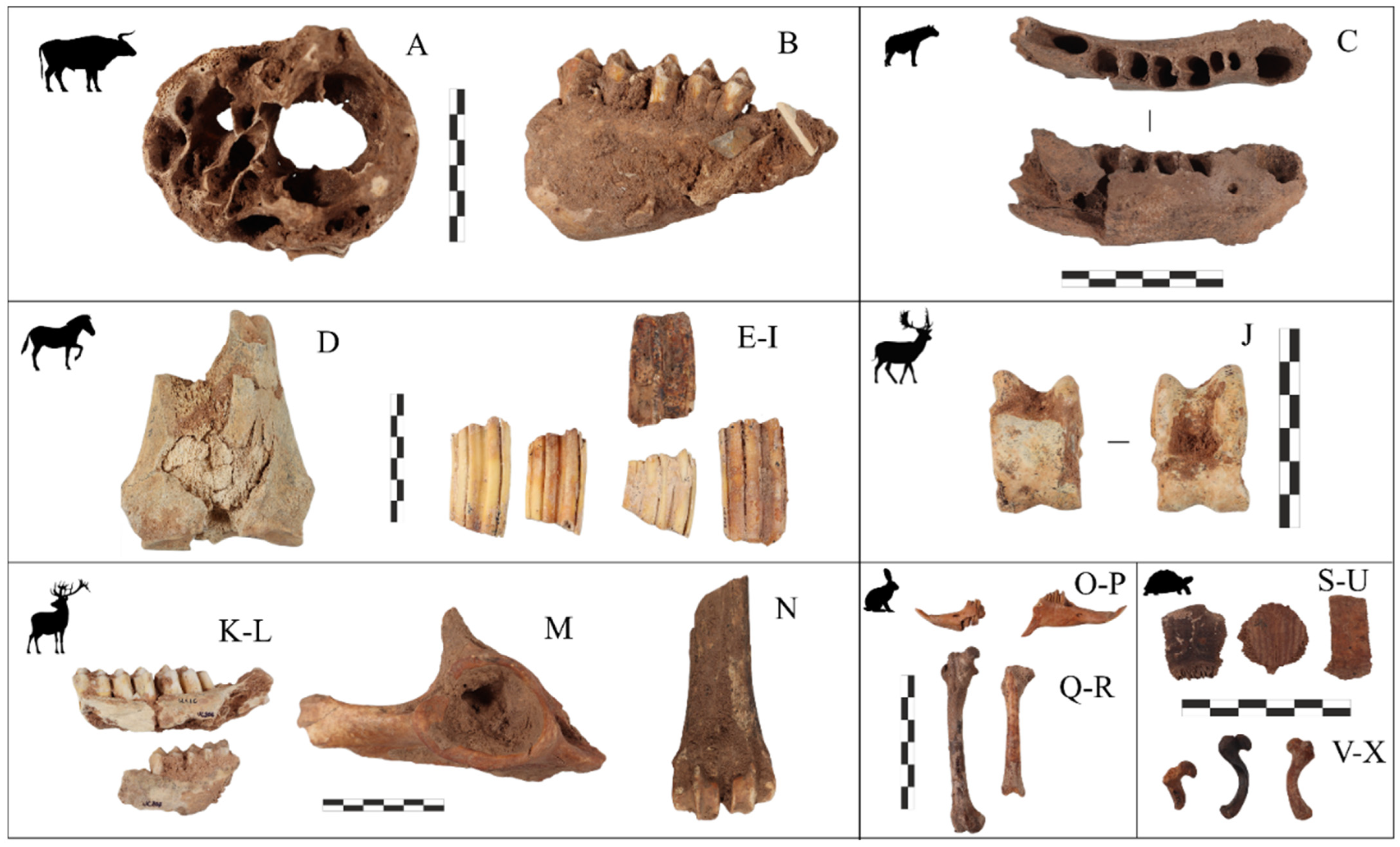 Quaternary 09 00037 g003